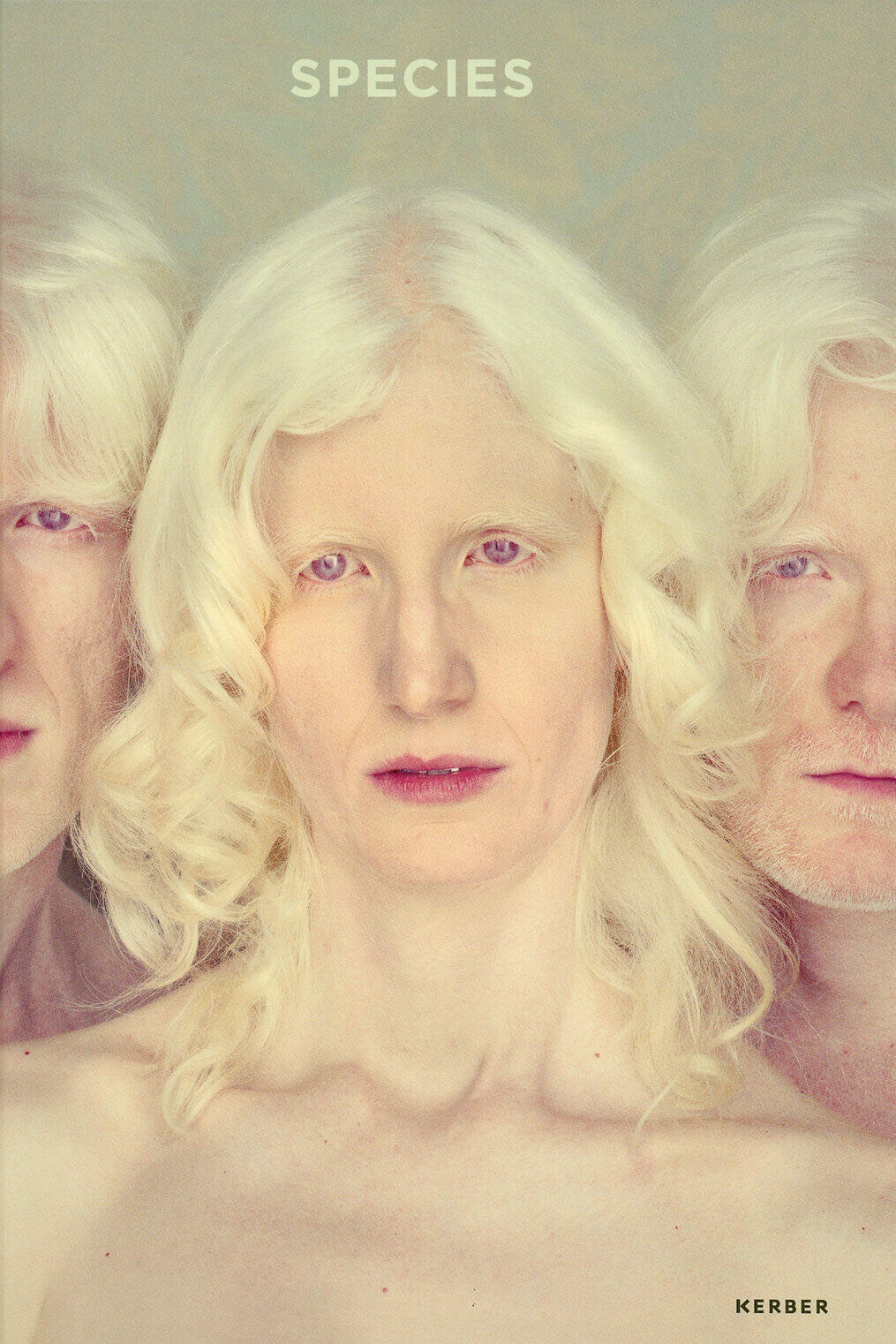 species, kunstverein gera, ludwig seyfarth, kunstbuch bildband fotobuch ausstellungskatalog