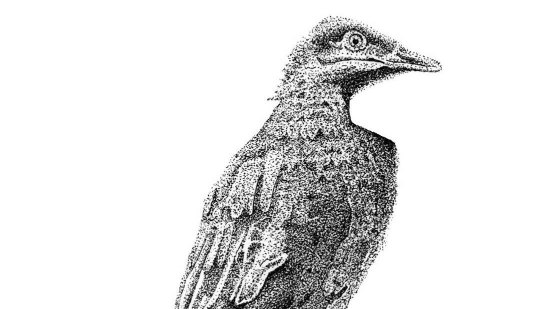 6 ½ WOCHEN. Aimée Portioli | Grand River, Ausstellung, Kunstausstellung, Essen, Museum Folkwang, Symphony for Endangered Birds, Brandon Locher Vogelzeichnung