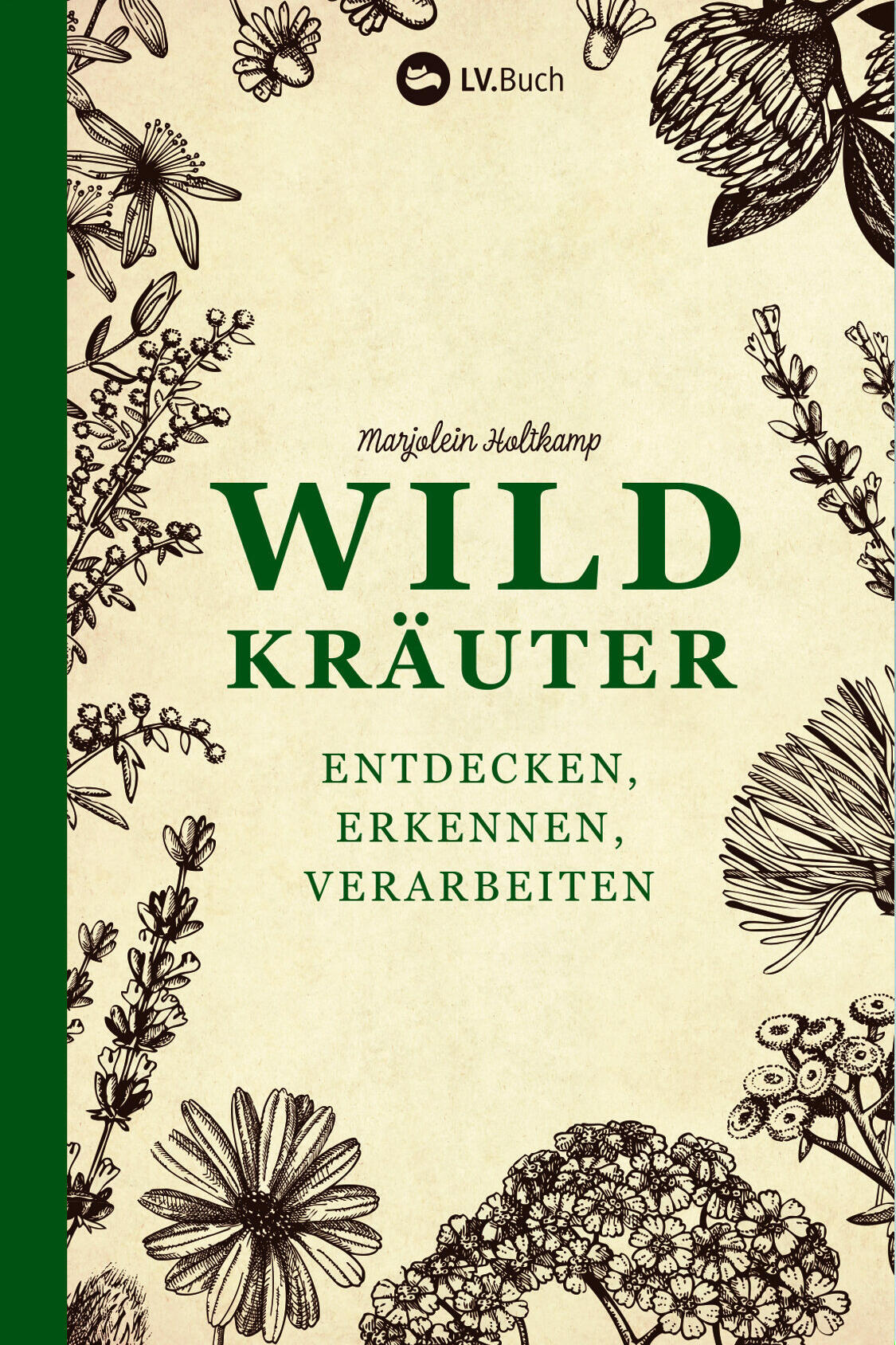 wildkraeuter marjolein holtkamp sachkundebuch kochkultur