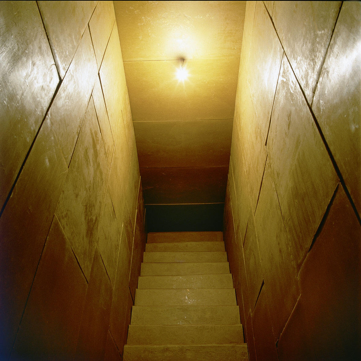 Kraftfelder, Ausstellung, Kunstausstellung, Bonn, Kunstmuseum Bonn, Wolfgang Laib, Wachsraum, Reni Hansen, VG Bild-Kunst