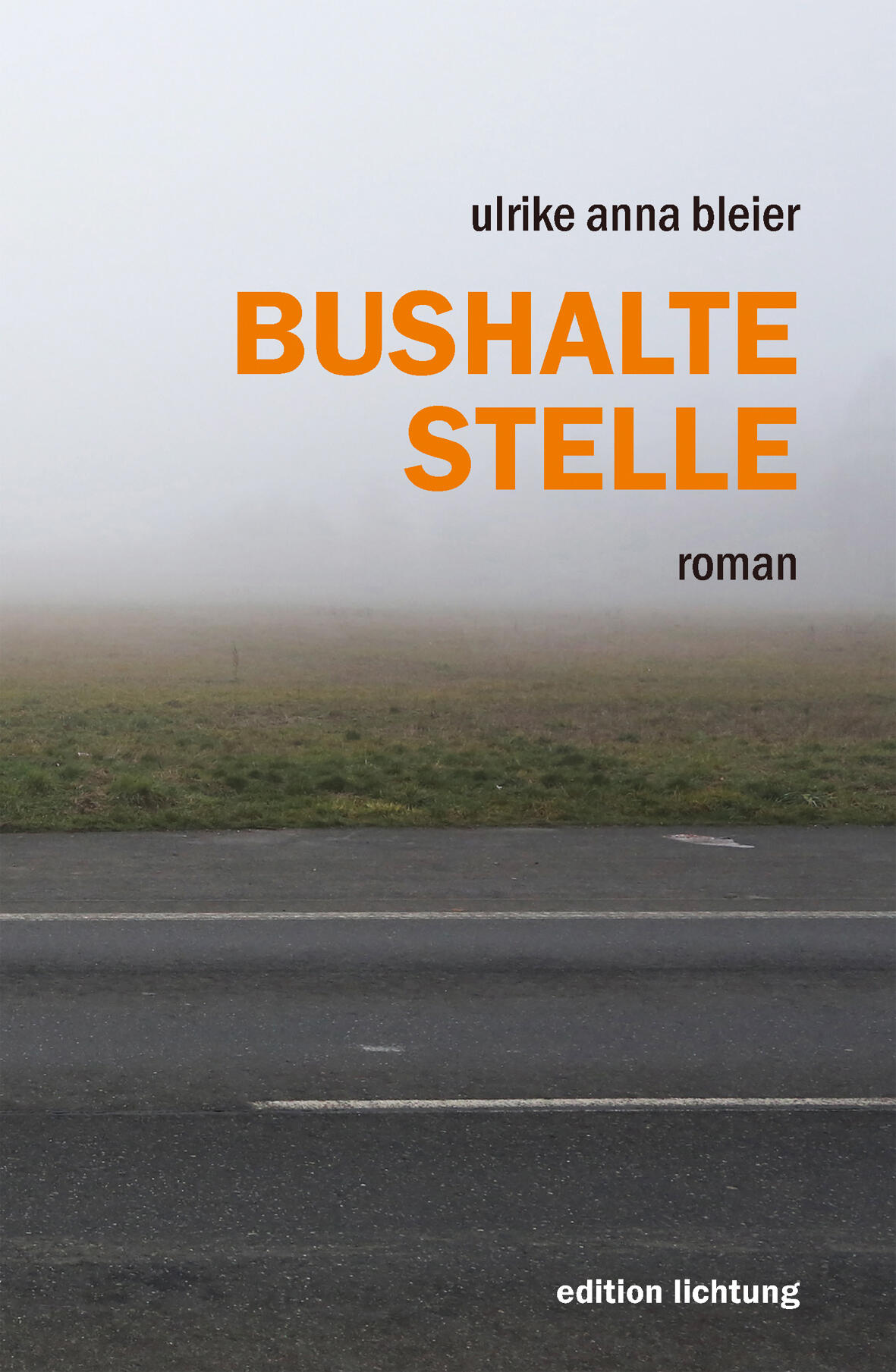 bushaltestelle, ulrike anna bleier, roman, belletristik, literatur