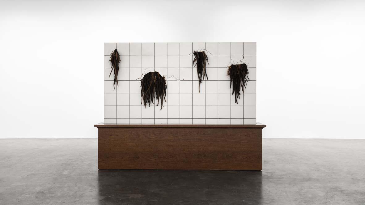 Dorothea von Stetten-Kunstpreis 2026, Ausstellung, Kunstausstellung, Bonn, Kunstmuseum Bonn, Tohé Commaret, Sarah-Anaïs Desbenoit, Pol Taburet, As they grow, Gui Gomes