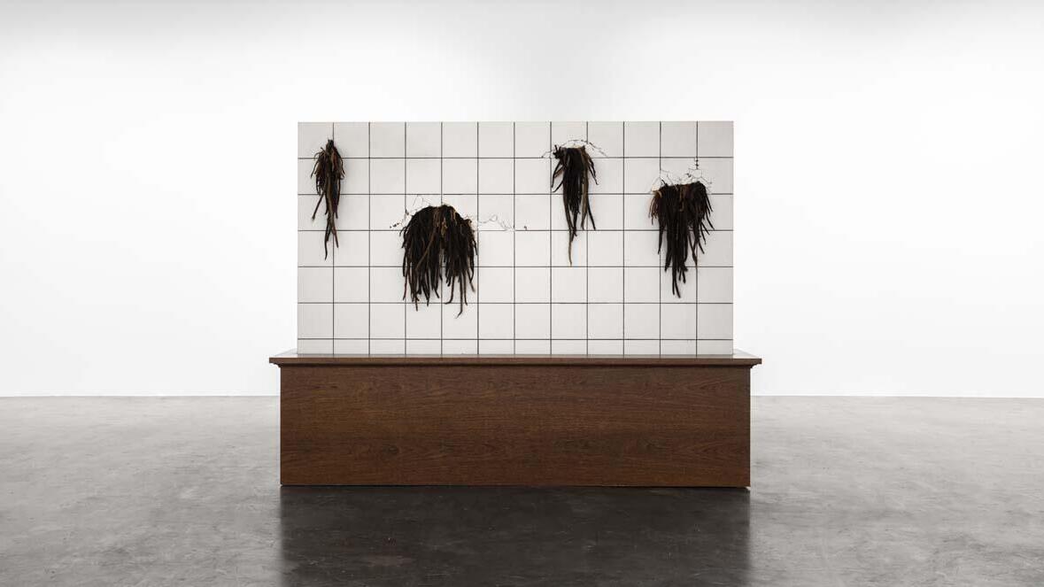 Dorothea von Stetten-Kunstpreis 2026, Ausstellung, Kunstausstellung, Bonn, Kunstmuseum Bonn, Tohé Commaret, Sarah-Anaïs Desbenoit, Pol Taburet, As they grow, Gui Gomes