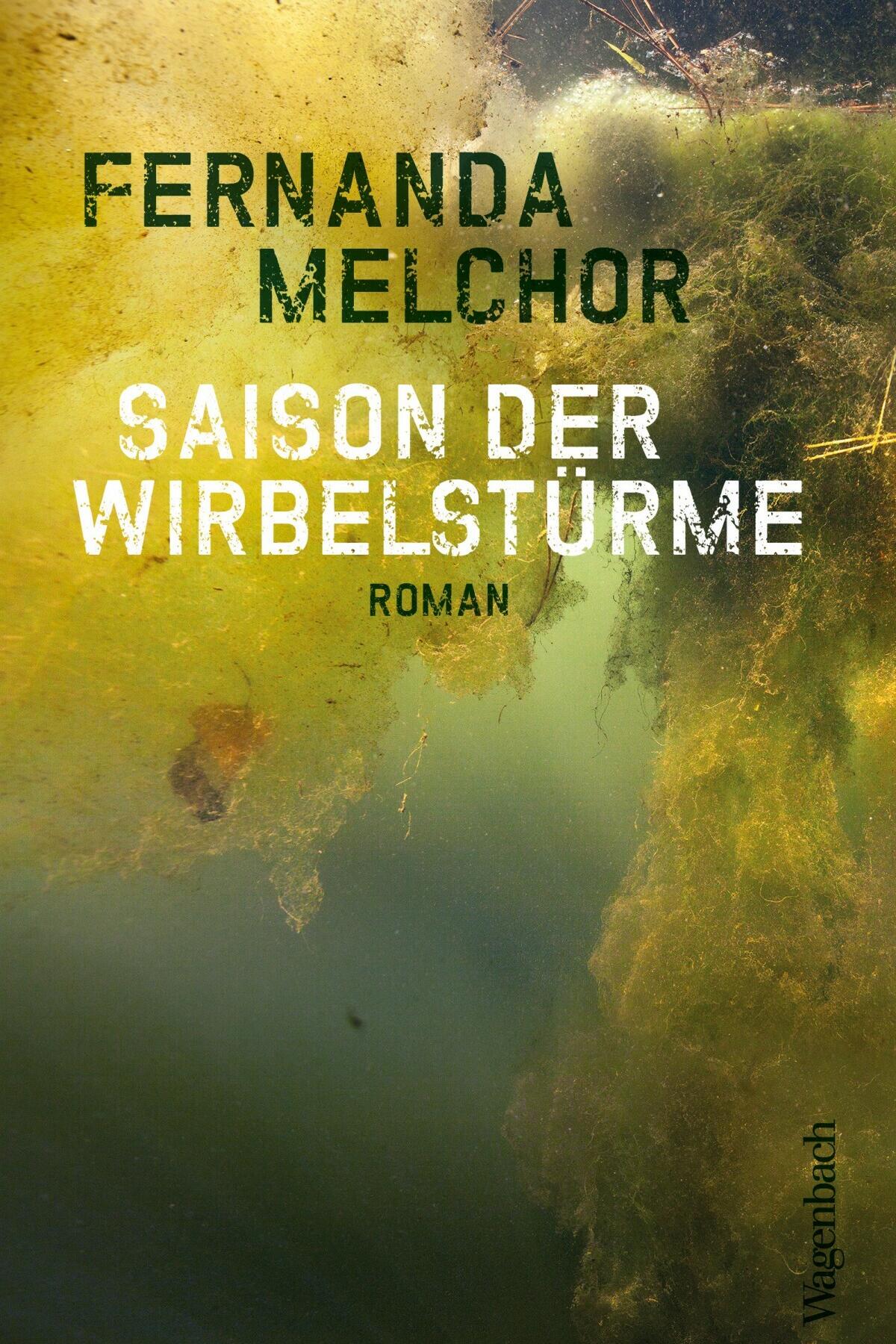 saison der wirbelstuerme, fernanda melchor, roman, belletristik