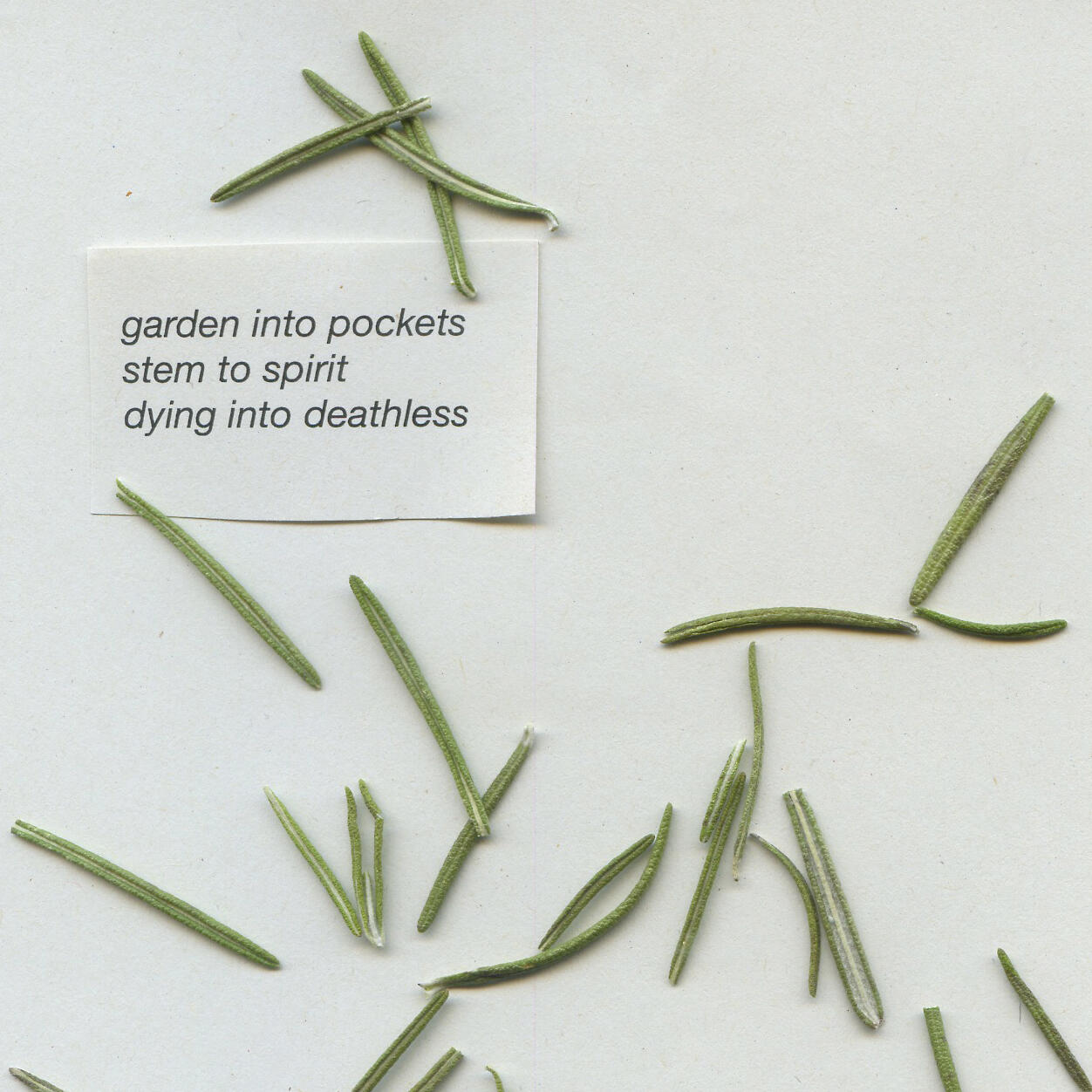 hell is other people (if you're lucky), Ausstellung, Kunstausstellung, Münster, Kunsthalle Münster, Alexandra Sheherazade Salem, gardenintopockets