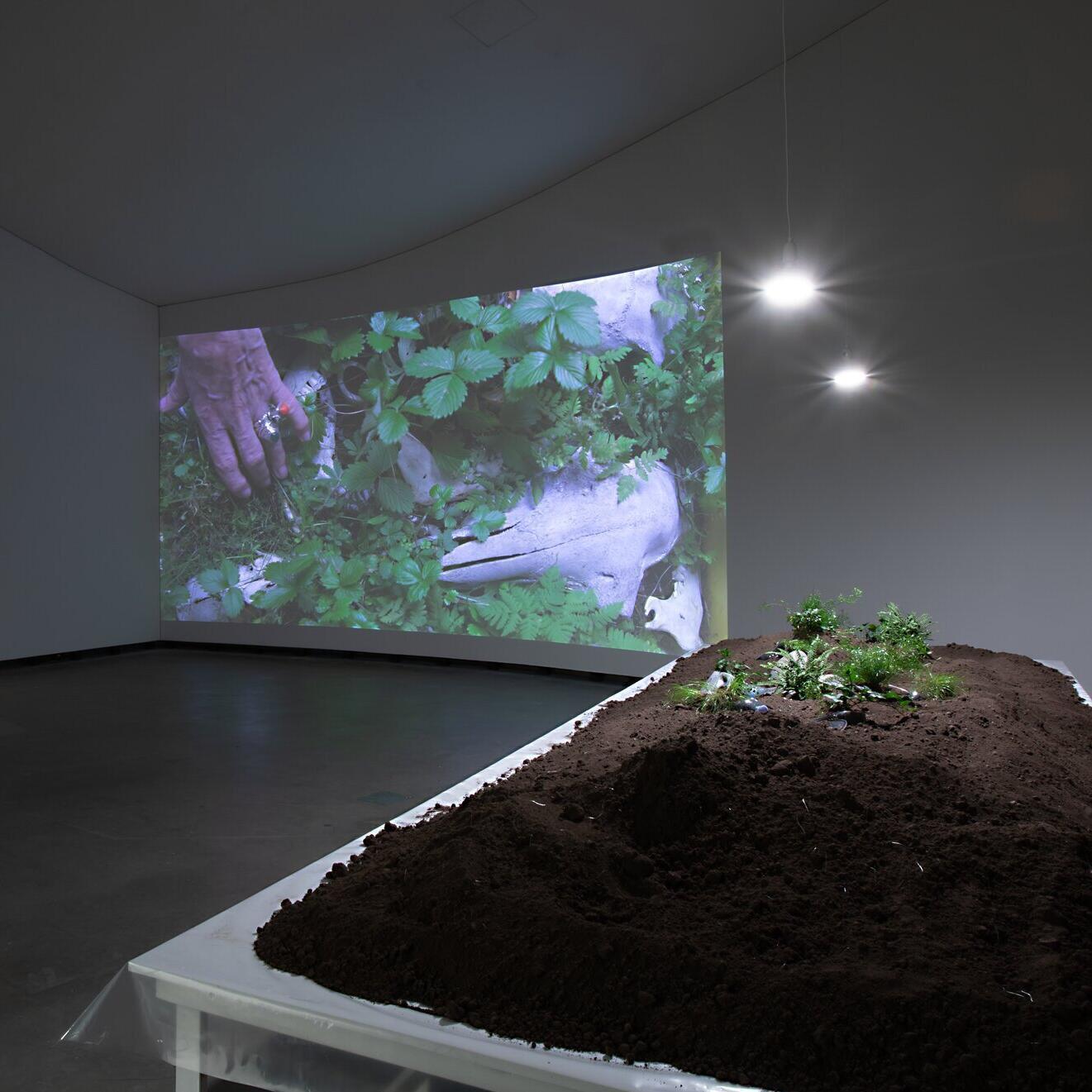 Kartographien des Wachstums, Ausstellung, Kunstausstellung, Herford, Marta Herford, Lois Weinberger, Katinka Bock, Ausstellungsansicht, Studio Lois Weinberger, Galerie Krinzinger, Hans Schröder