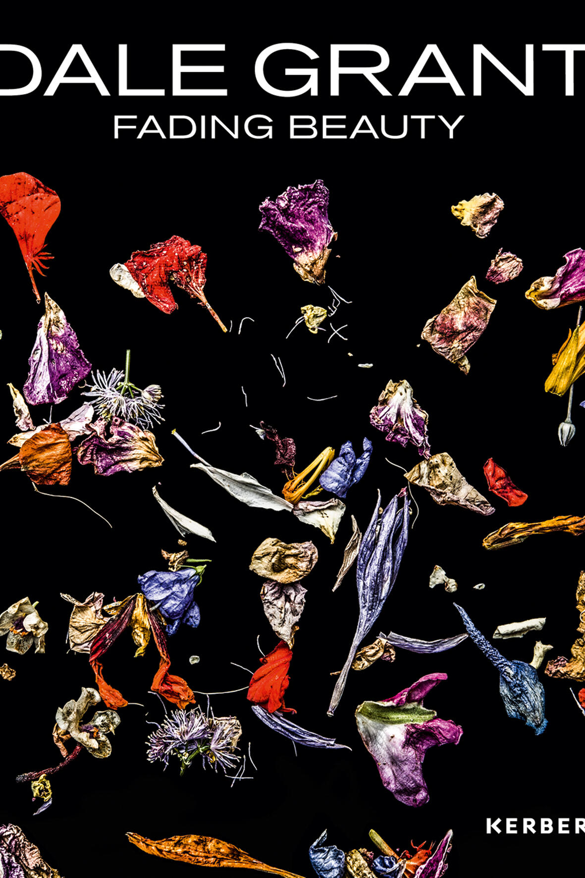 dale grant fading beauty, joern jacob rohwer, kunstbuch bildband fotobuch