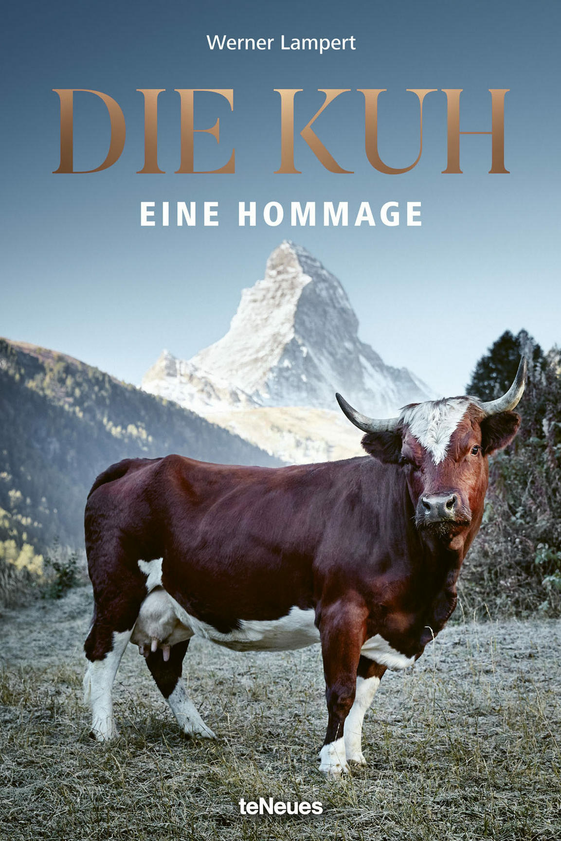 die kuh eine hommage, werner lampert, kunstbuch bildband fotobuch