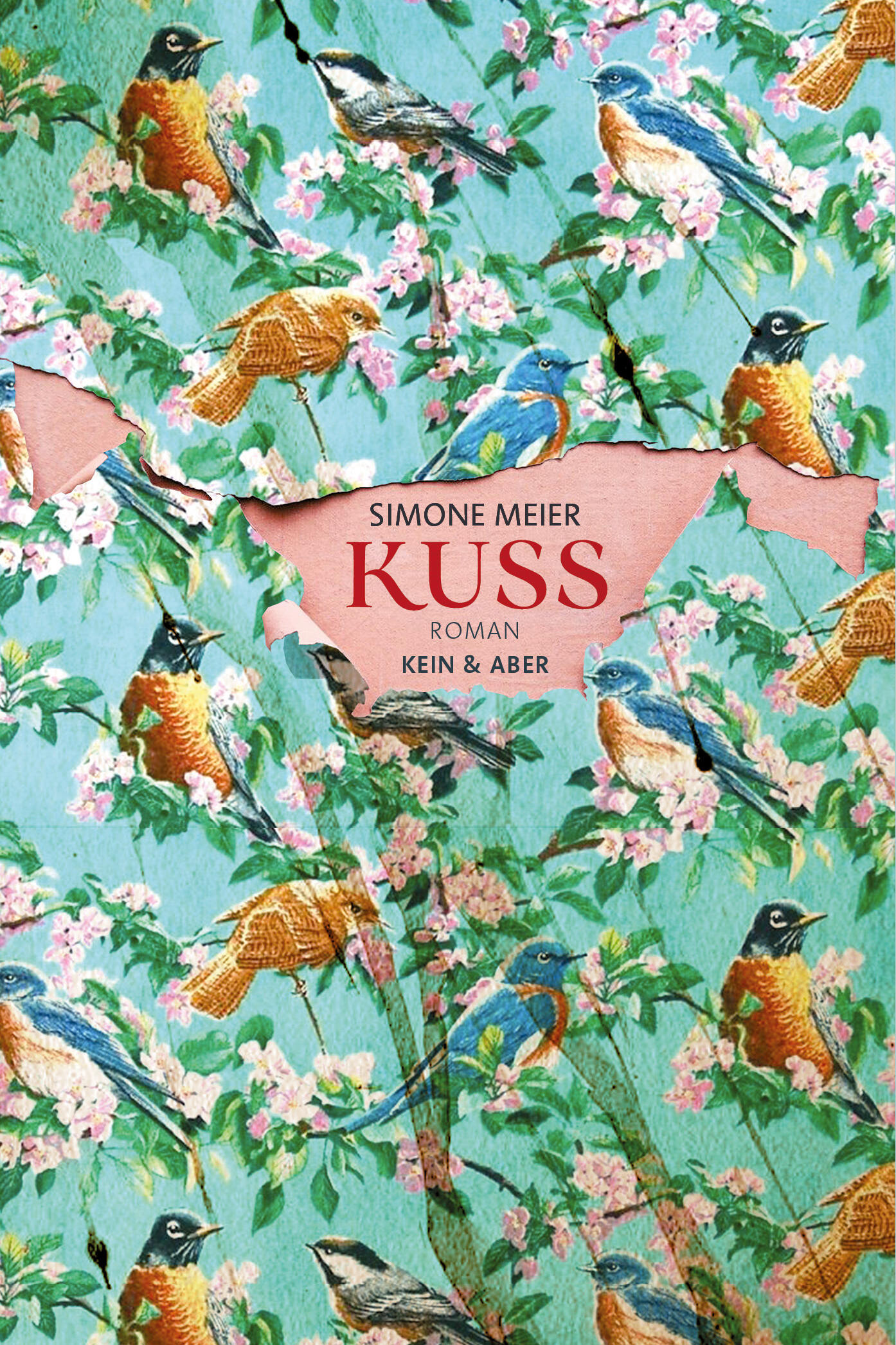 kuss, simone meier, roman, belletristik, literatur