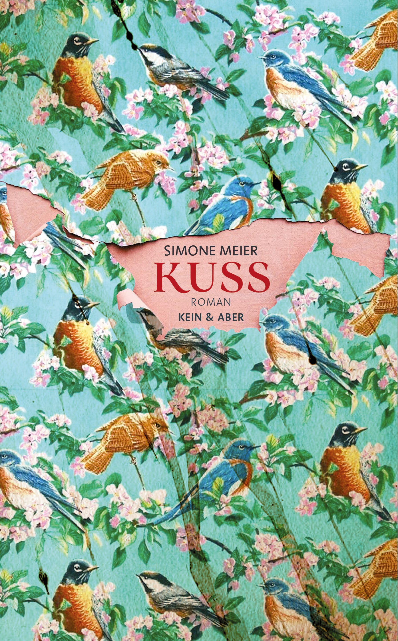 kuss, simone meier, roman, belletristik, literatur