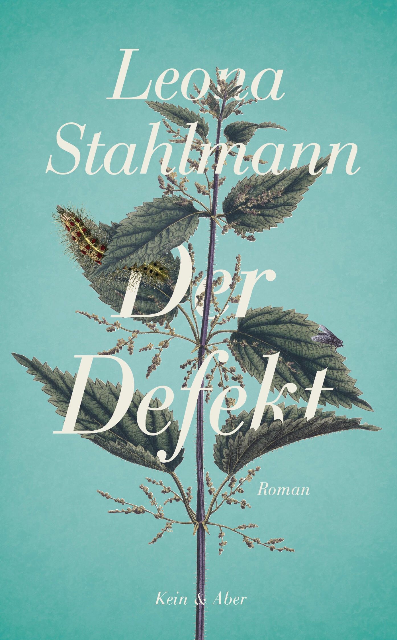 der defekt, leona stahlmann, roman, belletristik