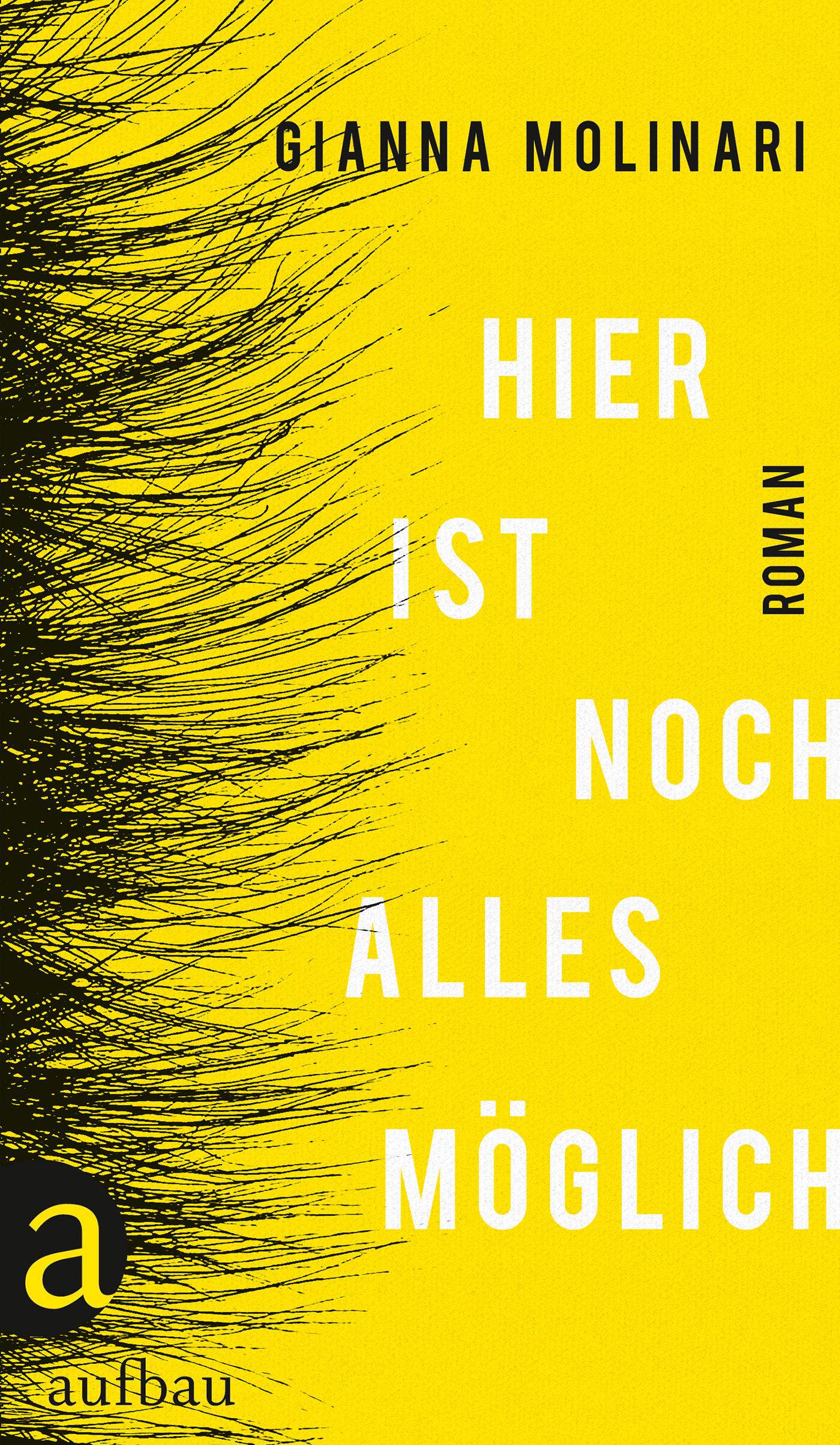 Hier ist noch alles möglich, gianna molinari, roman, belletristik, literatur