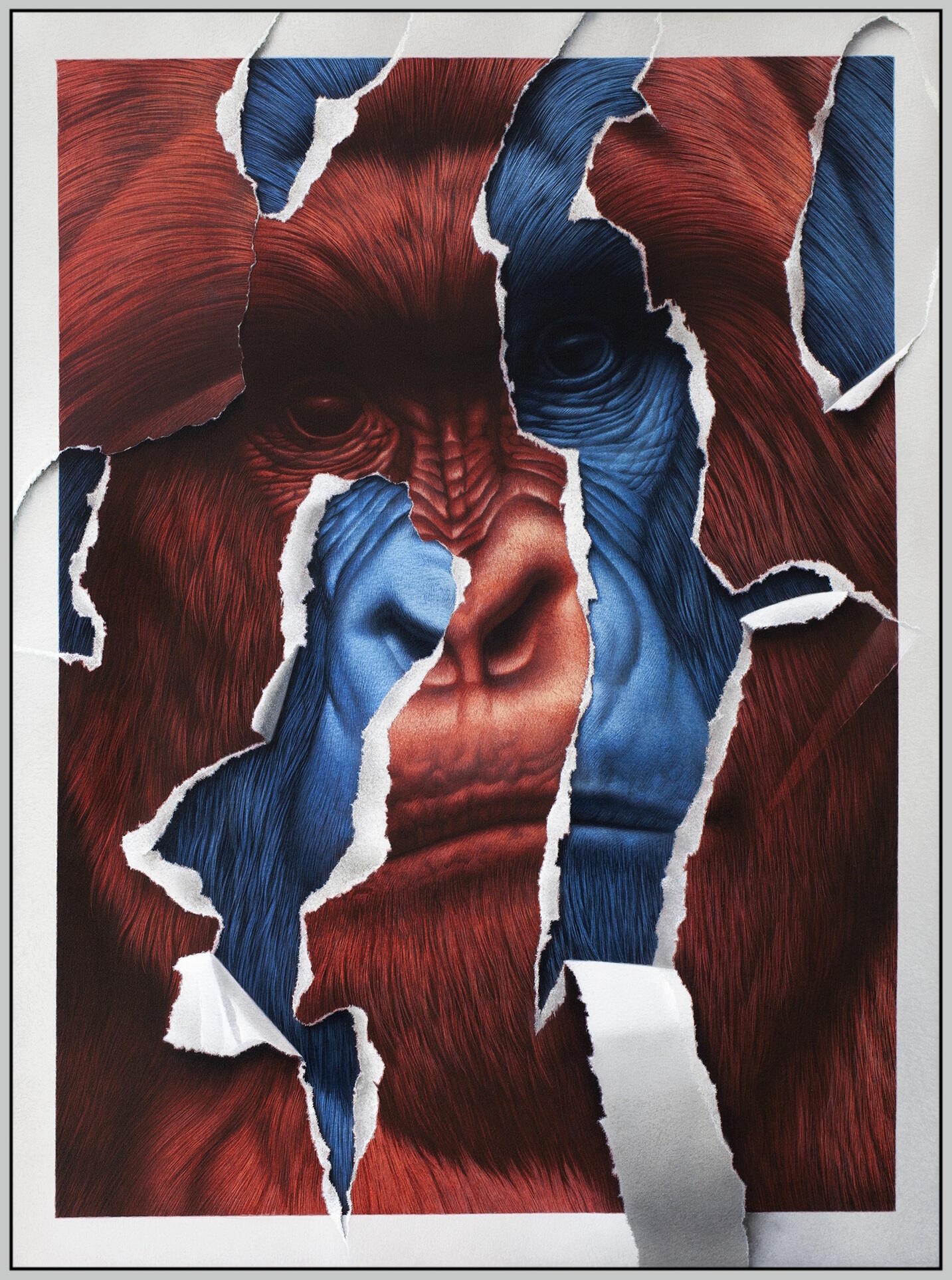 Eckart Hahn: Papiertiger, Ausstellung, Kunstausstellung, Bergisch Gladbach, Villa Zanders, Rot Blau II, VG Bild-Kunst, Privatsammlung Heidelberg