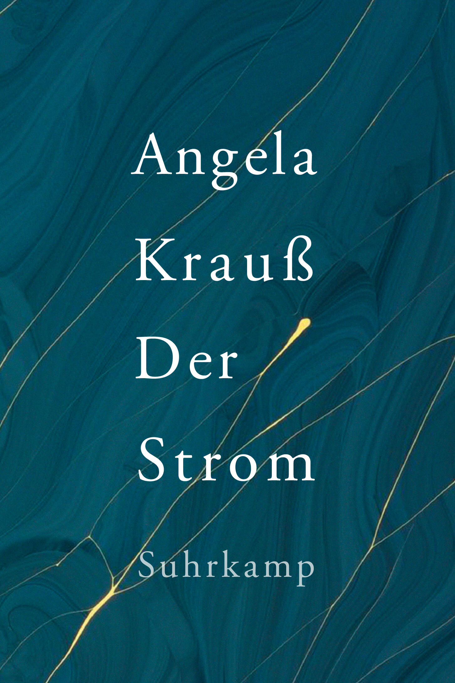 der strom, angela krauß, roman, belletristik, literatur