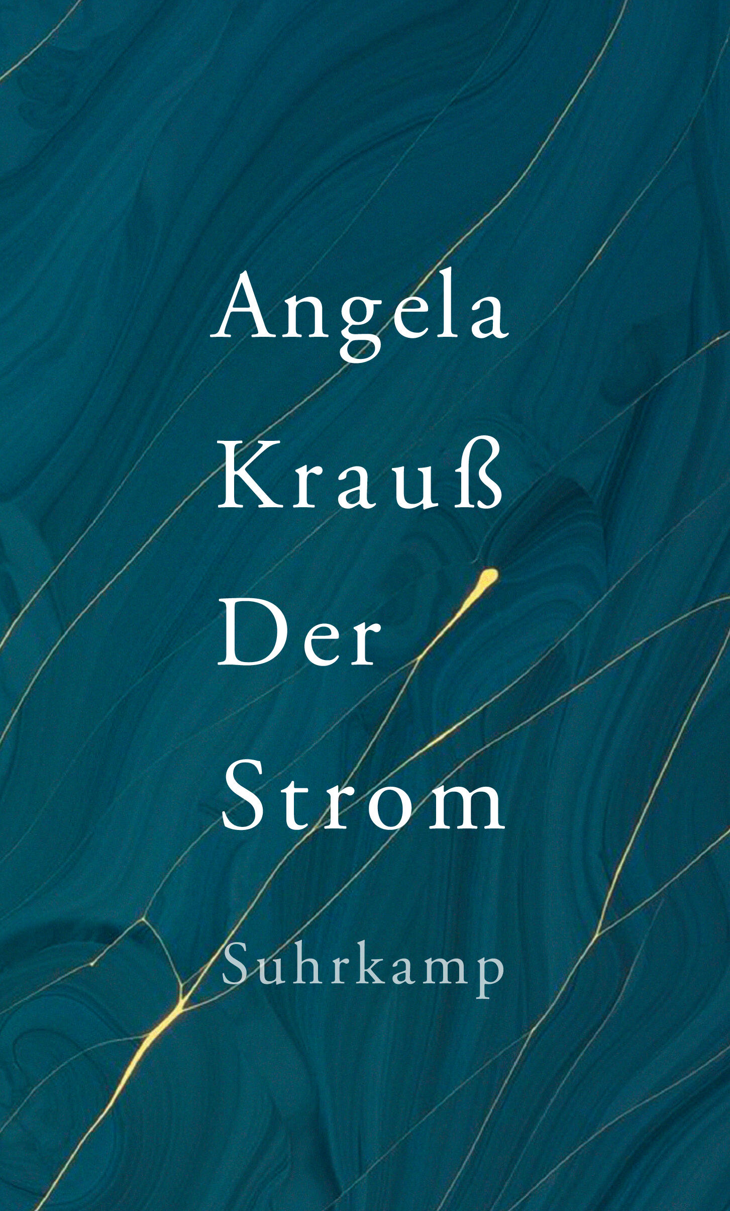 der strom, angela krauß, roman, belletristik, literatur