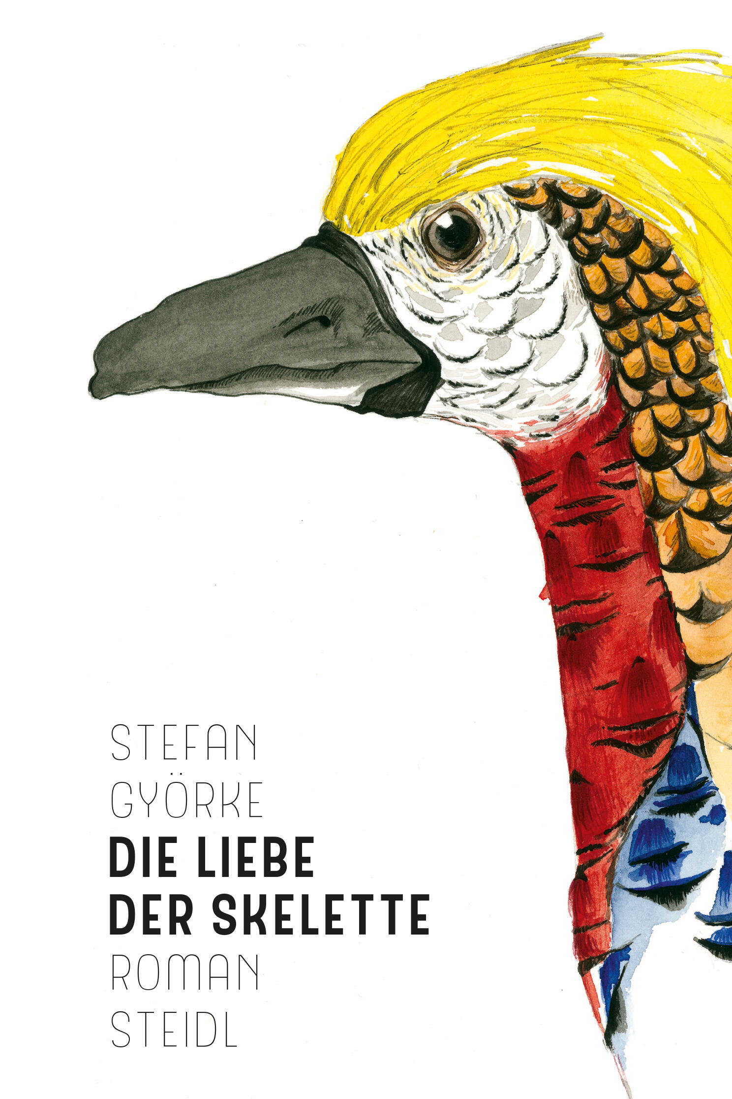 die liebe der skelette, stefan gyoerke, roman, belletristik, literatur