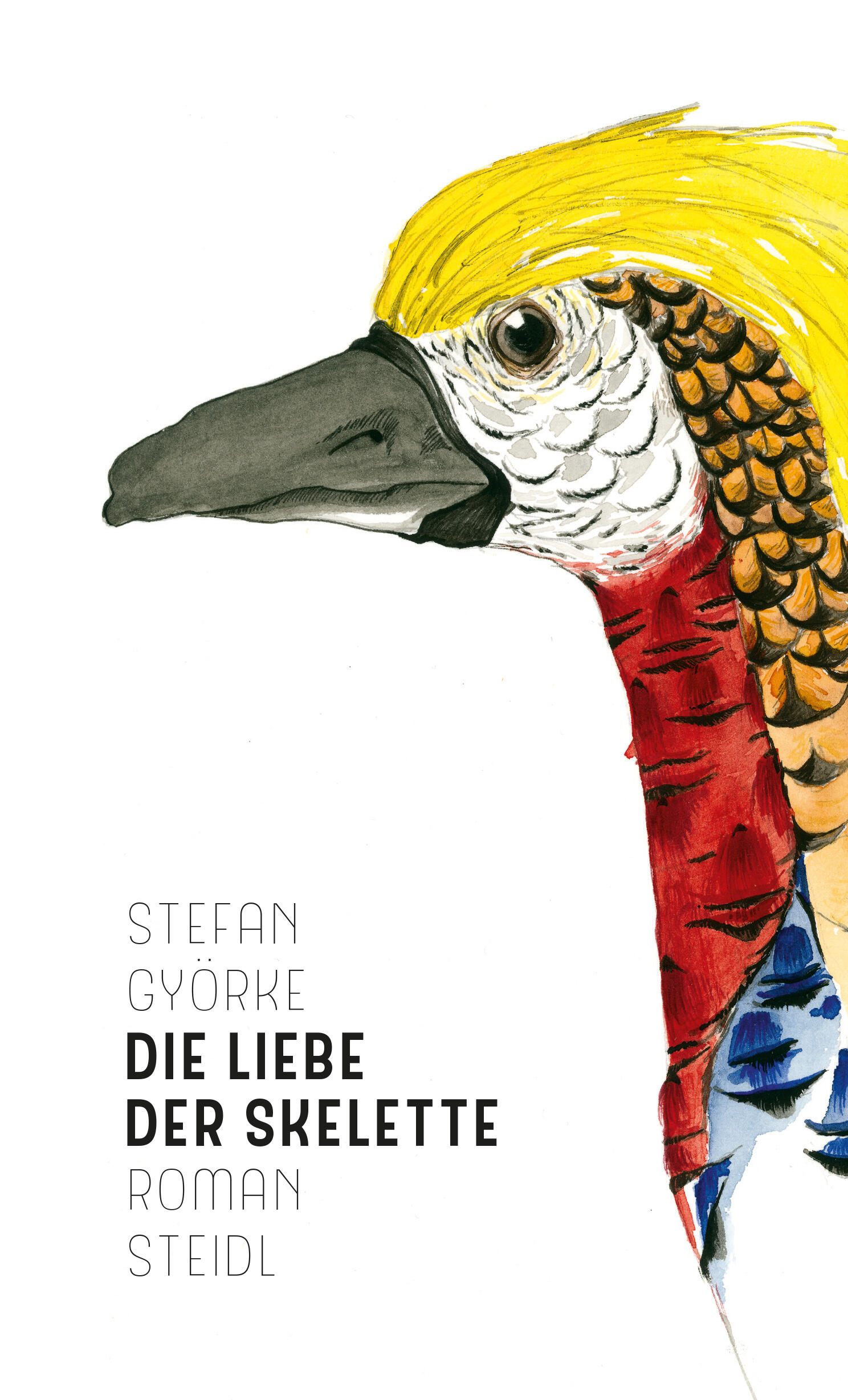 die liebe der skelette, stefan gyoerke, roman, belletristik, literatur