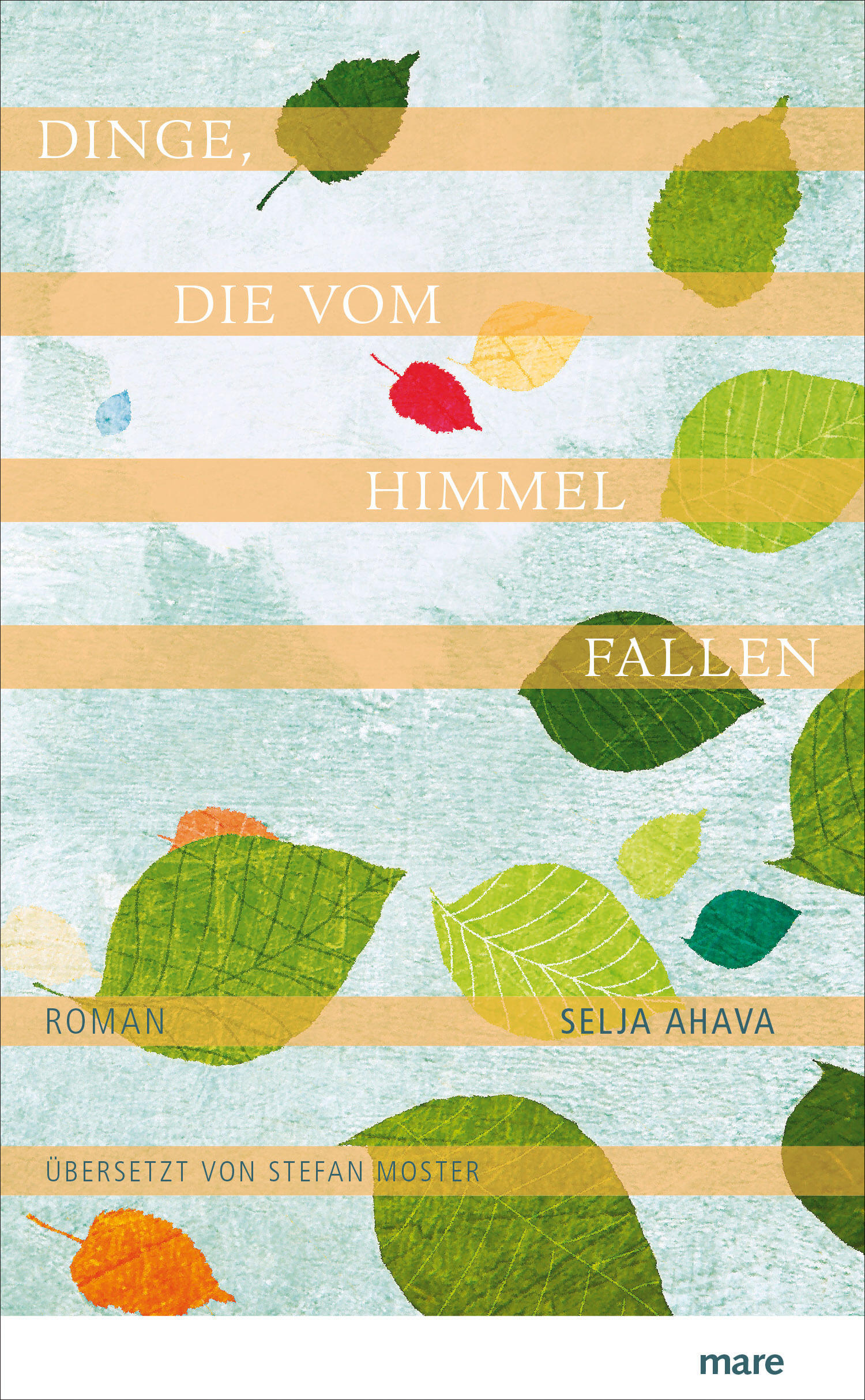 dinge die vom himmel fallen, selja ahava, roman, belletristik, literatur