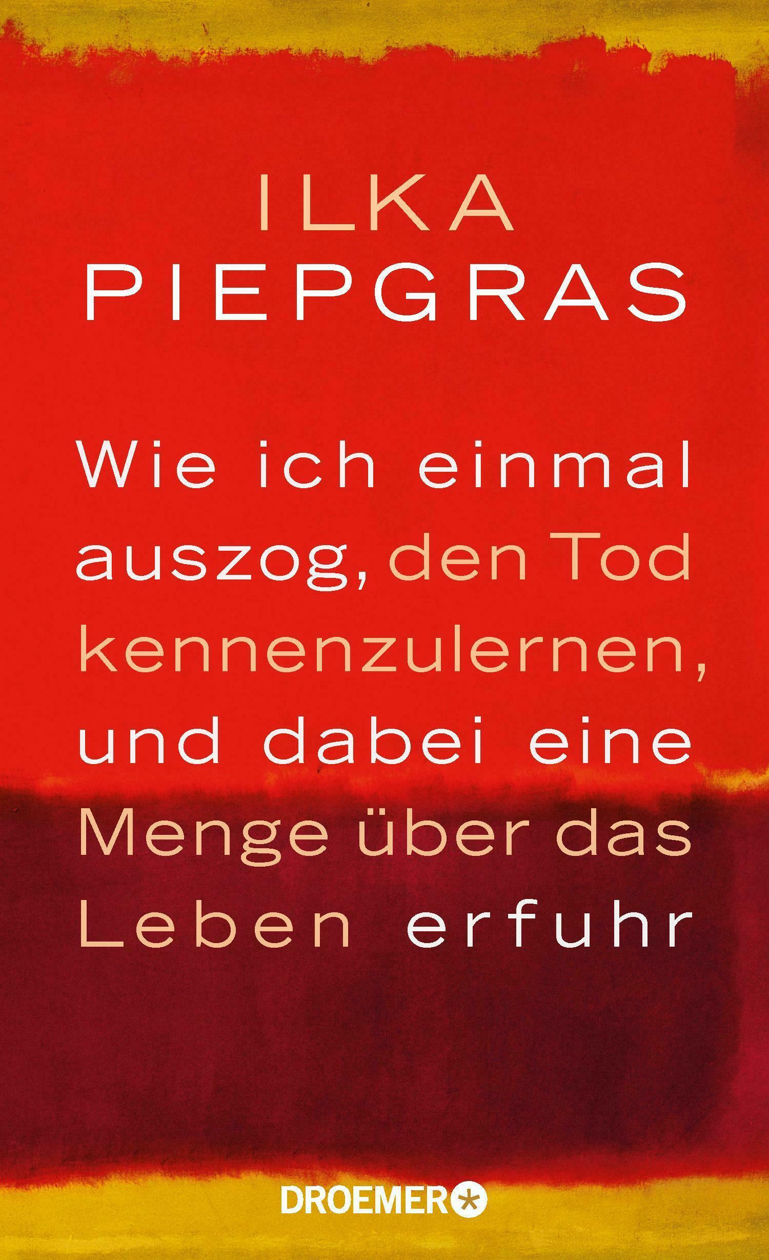 wie ich einmal auszog, den tod kennenzulernen, und dabei eine menge ueber das leben erfuhr, ilka piepgras, roman, belletristik, literatur