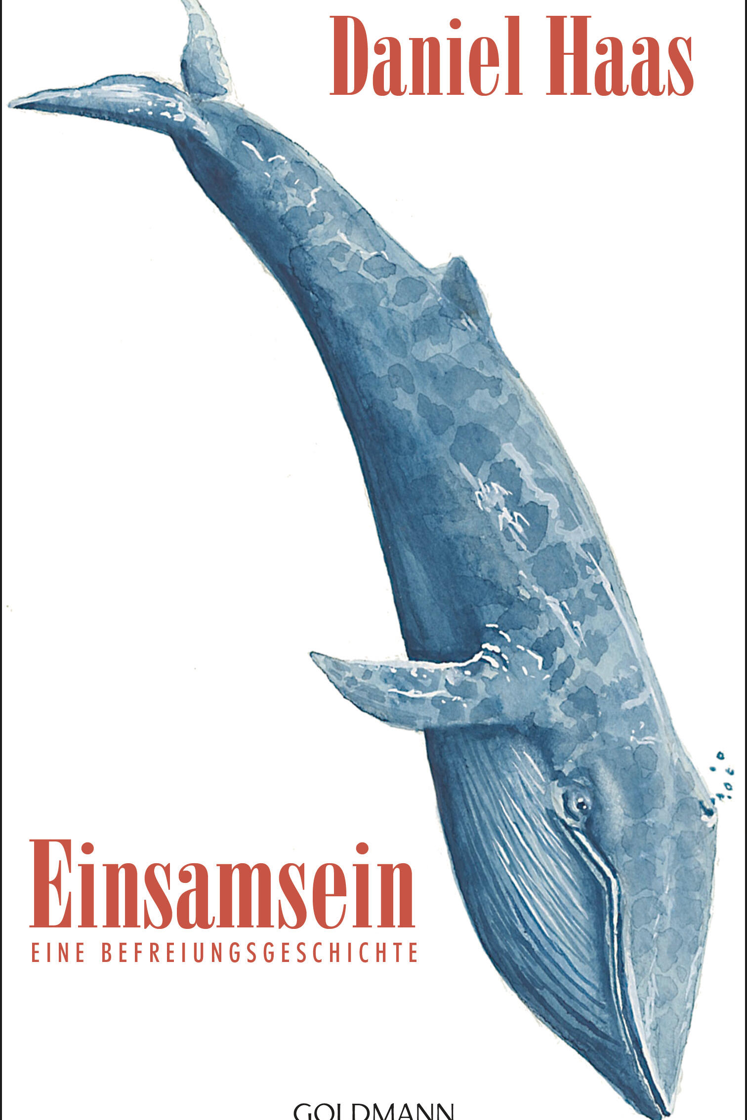 Daniel Haas, Einsamsein, Goldmann Verlag, Roman