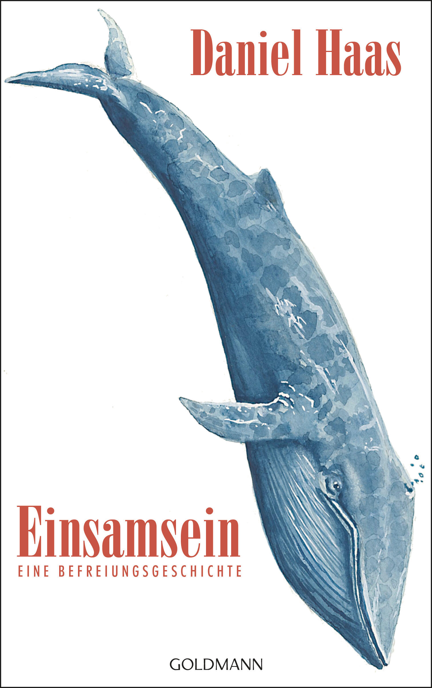 Daniel Haas, Einsamsein, Goldmann Verlag, Roman