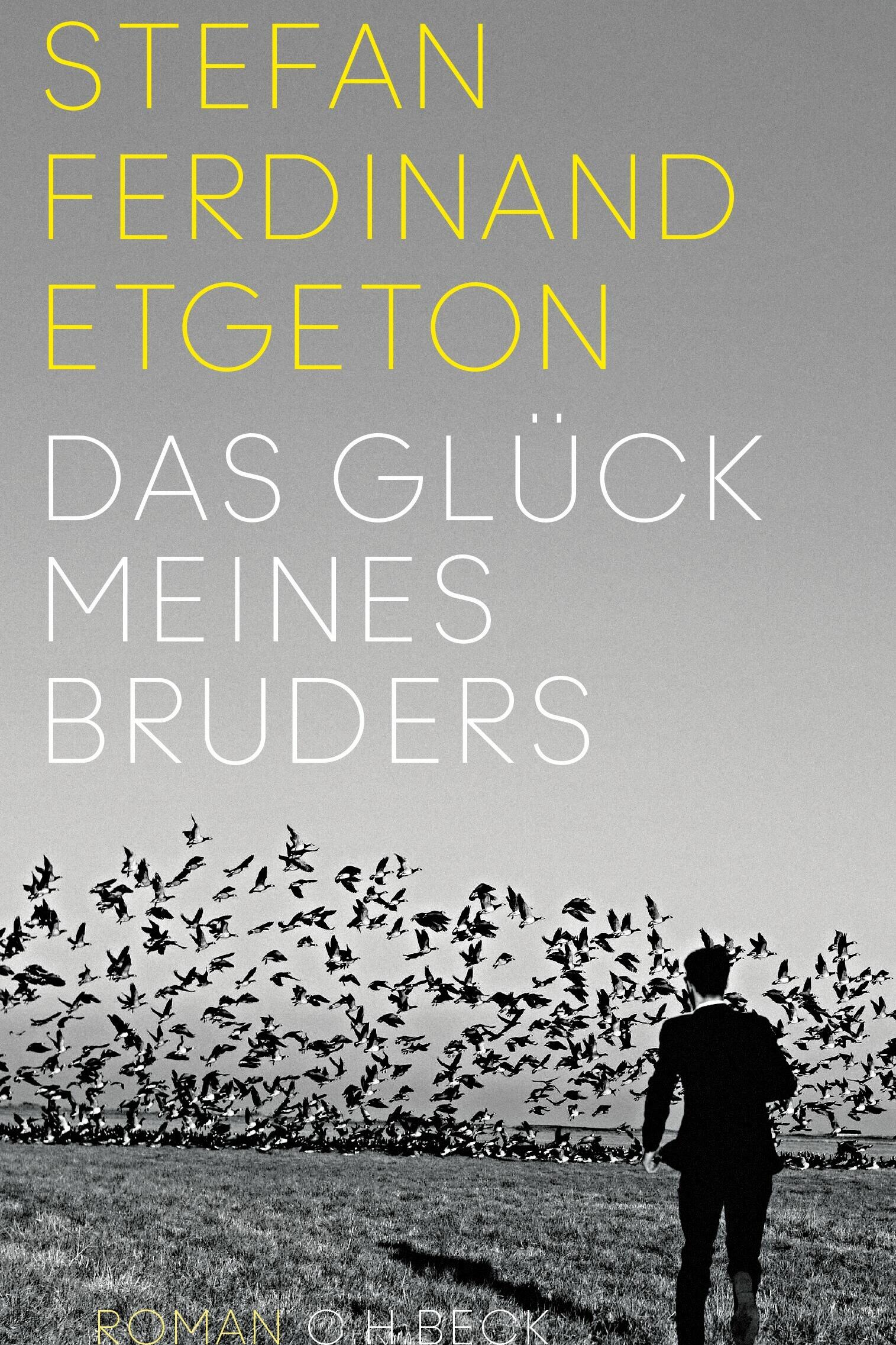 das glueck meines bruders, stefan ferdinand etgeton, roman, belletristik, literatur