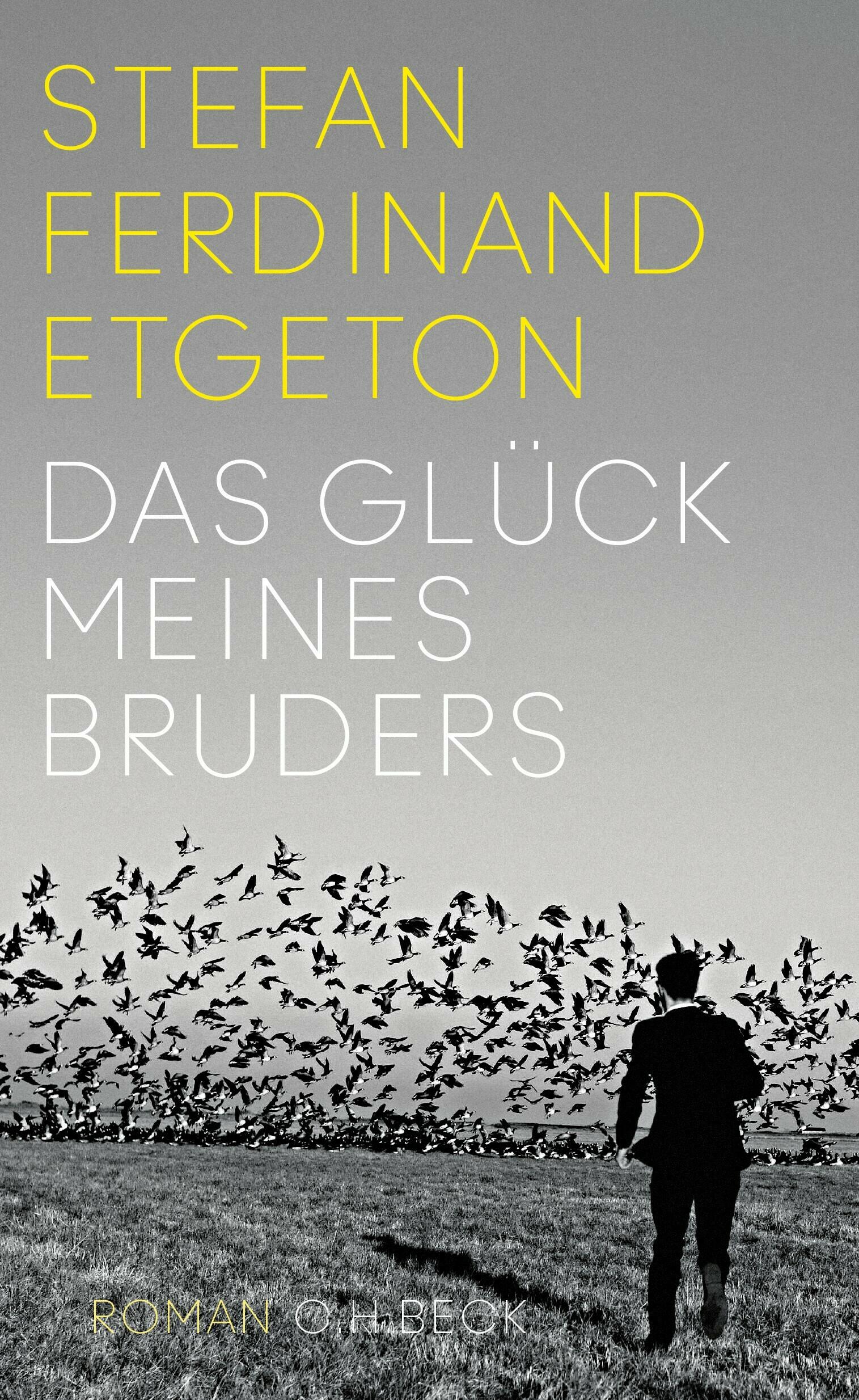 das glueck meines bruders, stefan ferdinand etgeton, roman, belletristik, literatur