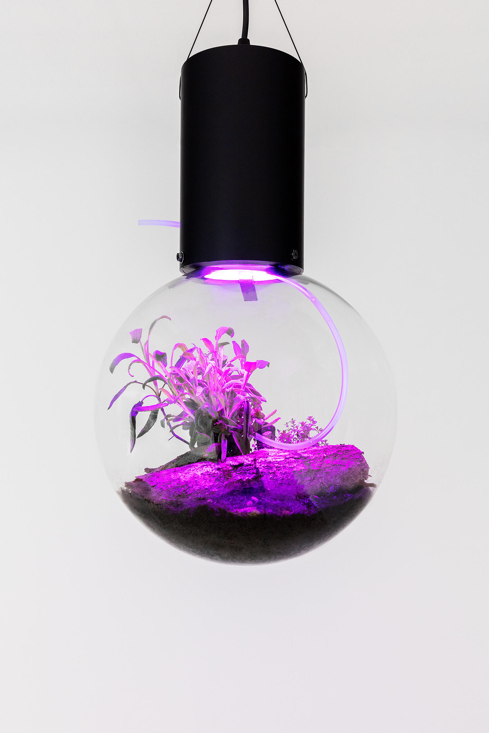 House of Balagan, 10 Jahre Sammlung Philara, Ausstellung, Kunstausstellung, Düsseldorf, Sammlung Philara, Hito Steyerl, Animal Spirits: Herb Sphere, VG Bild-Kunst, CHROMA