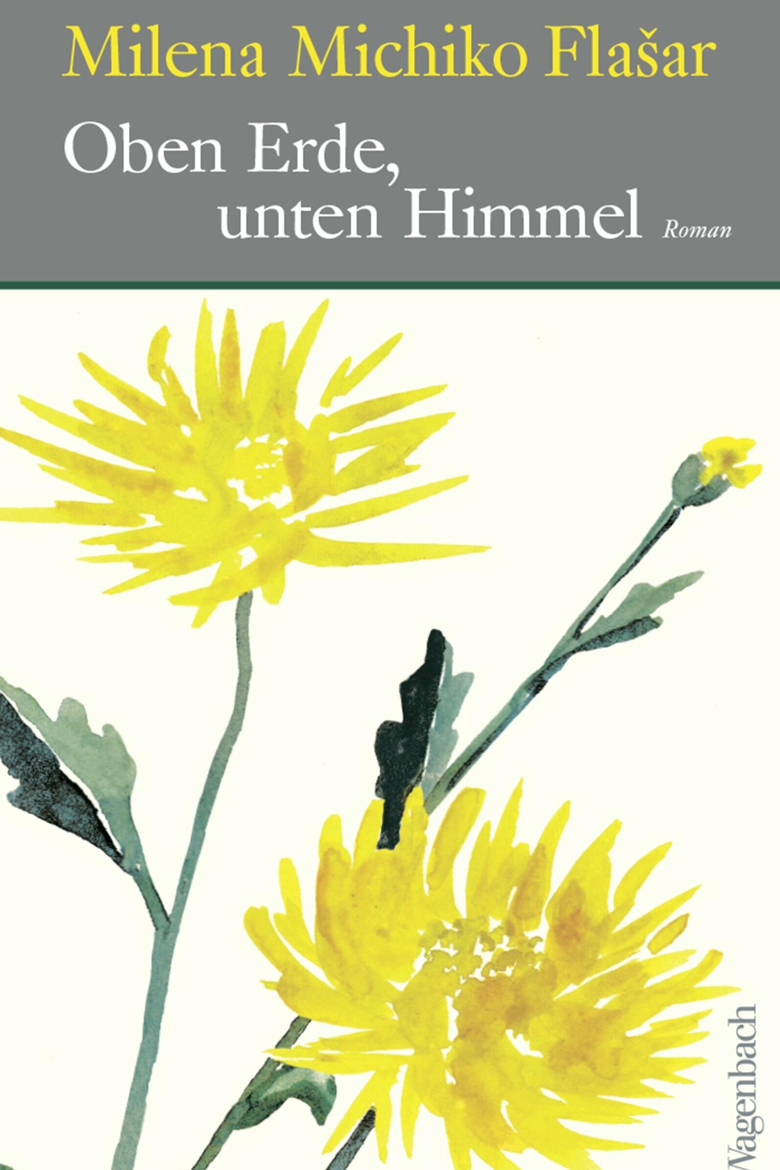 Oben Erde, unten Himmel, Literatur, Roman, Milena Michiko Flašar, Wagenbach Verlag