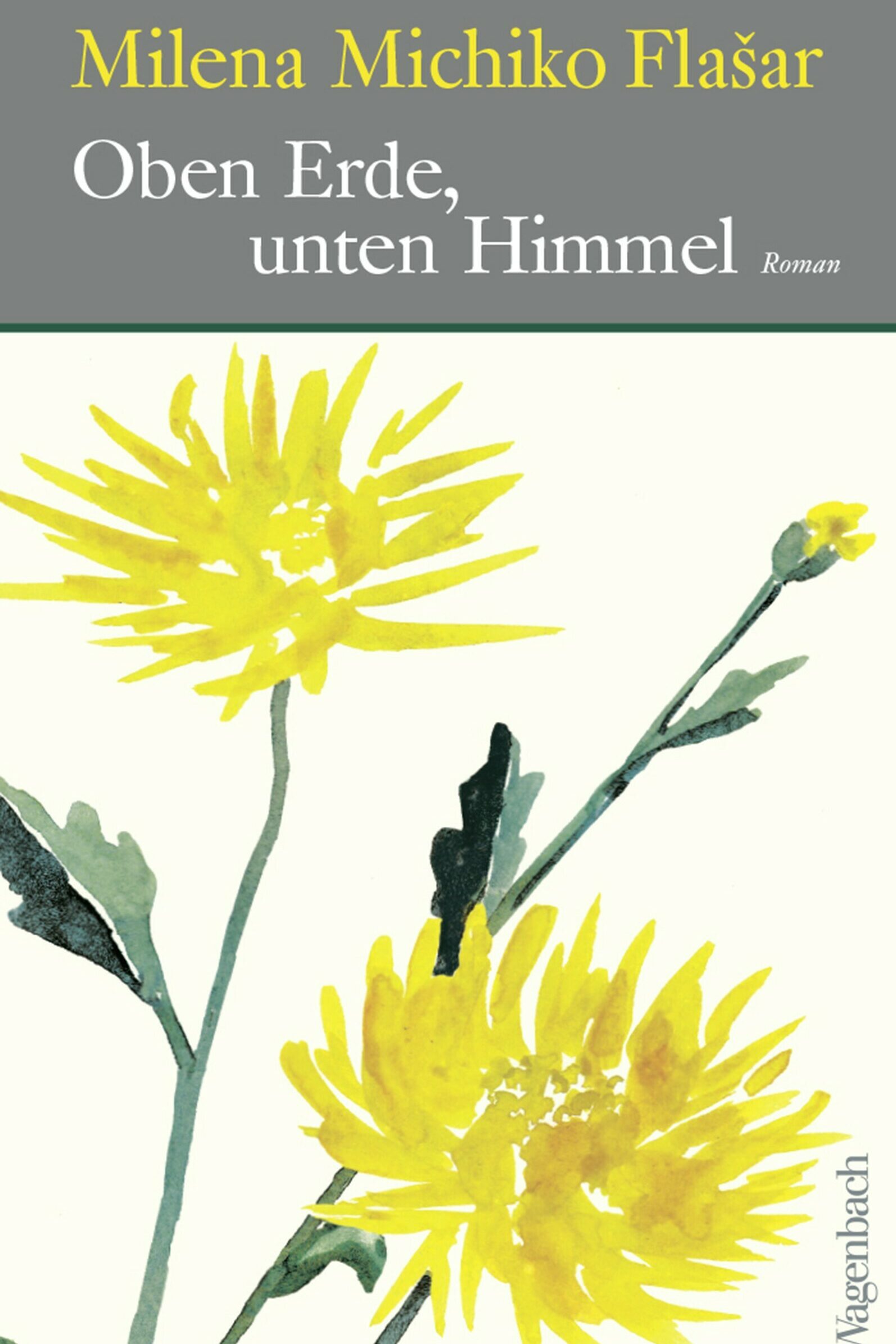 Oben Erde, unten Himmel, Literatur, Roman, Milena Michiko Flašar, Wagenbach Verlag