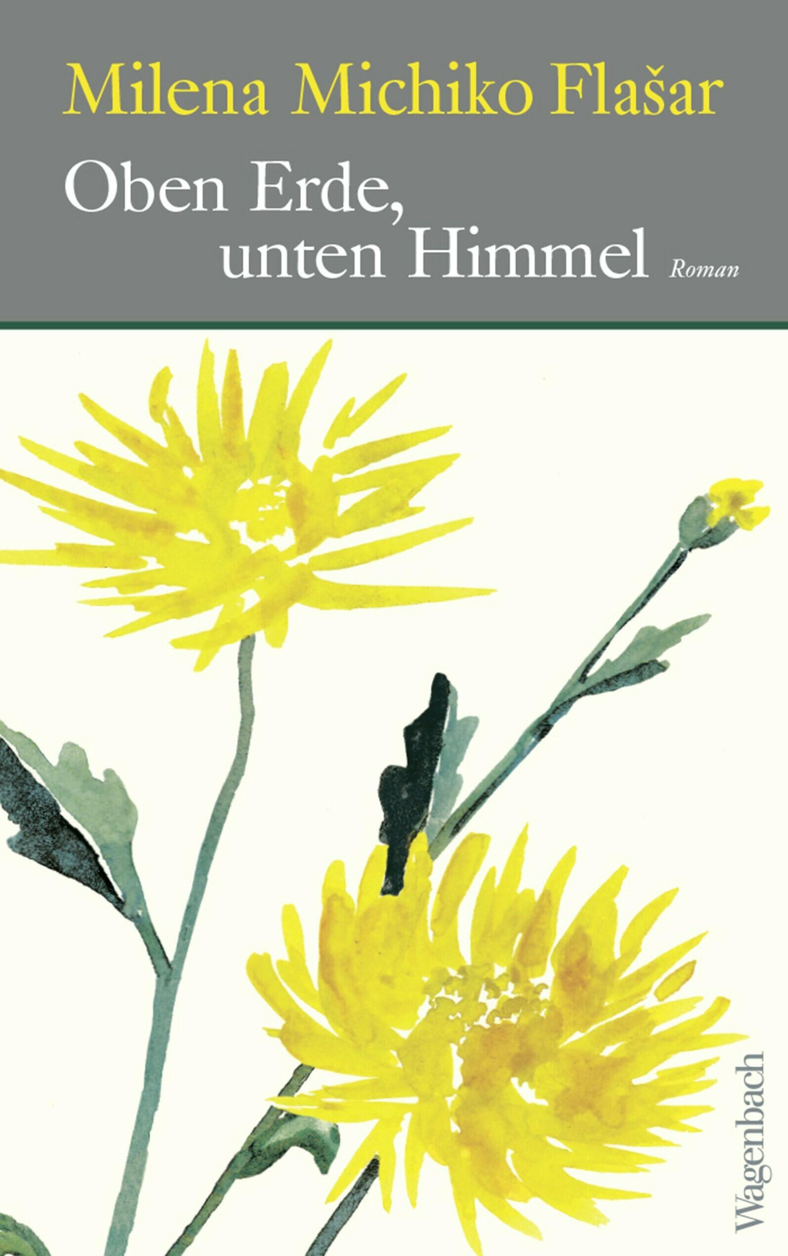 Oben Erde, unten Himmel, Literatur, Roman, Milena Michiko Flašar, Wagenbach Verlag