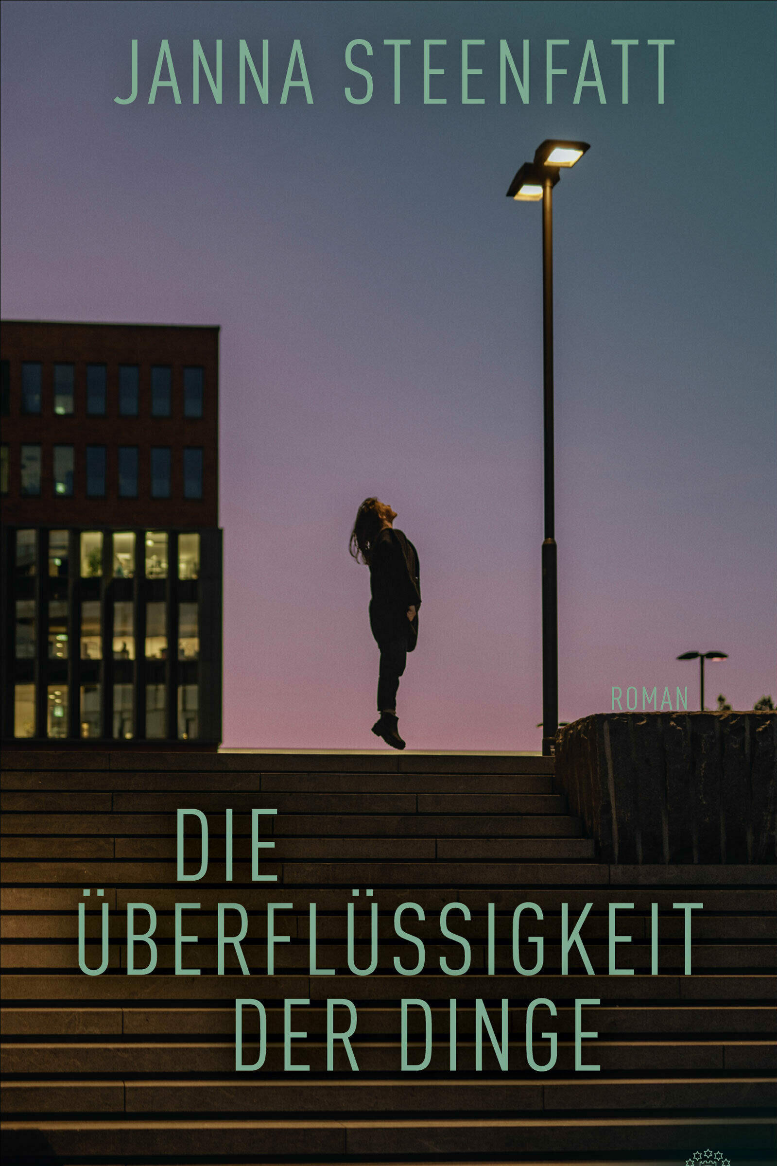 die ueberfluessigkeit der dinge, janna steenfatt, roman