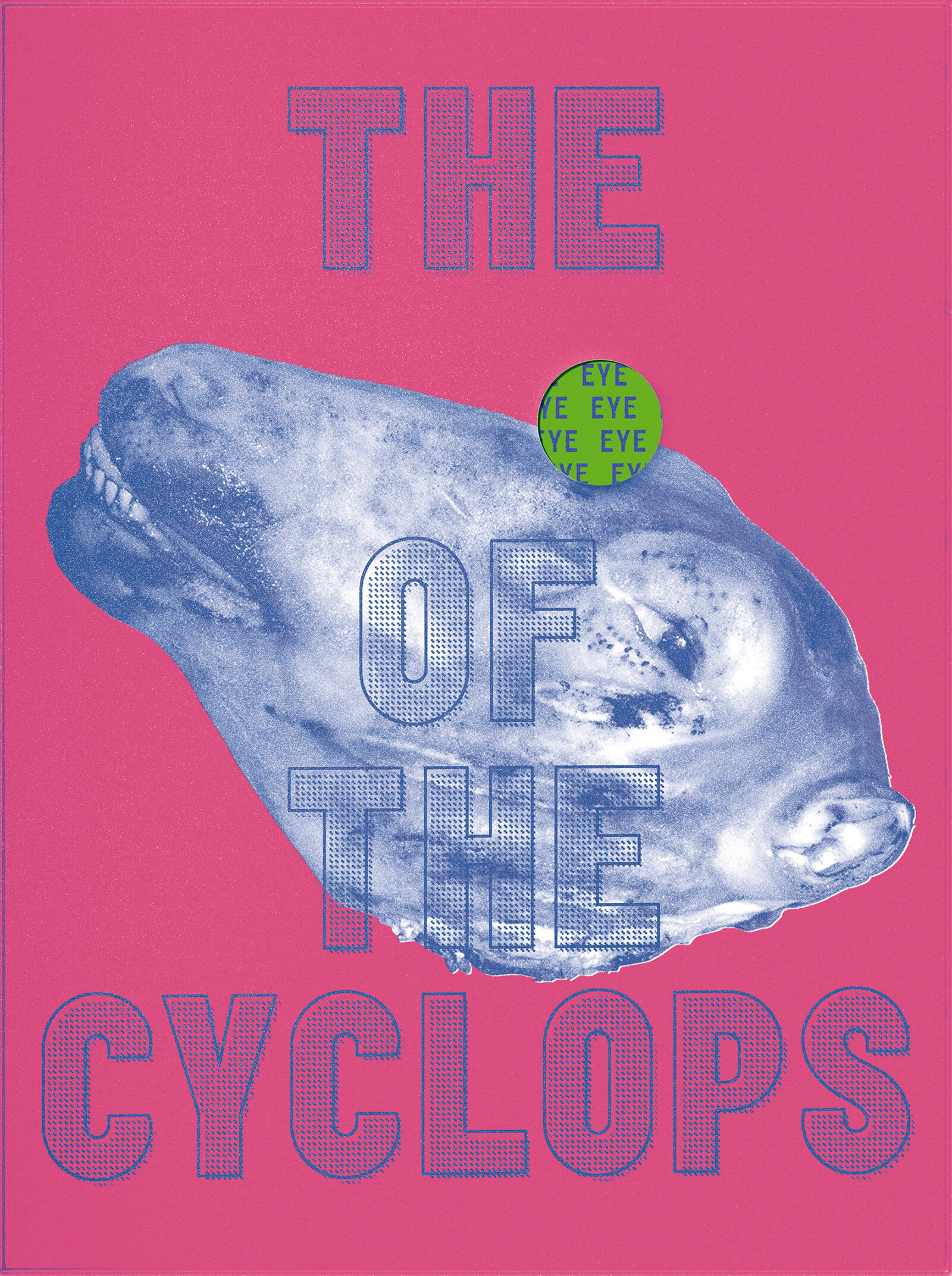 the eye of the cyclops ann massal angelo cirimele joão linneu kunstbuch bildband fotobuch