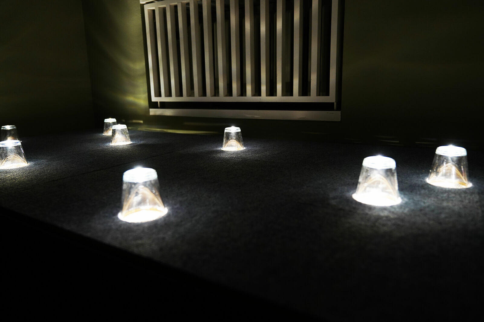 Ins Offene! Multispezies Erzählungen, Ausstellung, Kunstausstellung, Leverkusen, Museum Morsbroich, KHM Köln - Kunsthochschule für Medien Köln, Hyunju Lee, Installationsansicht