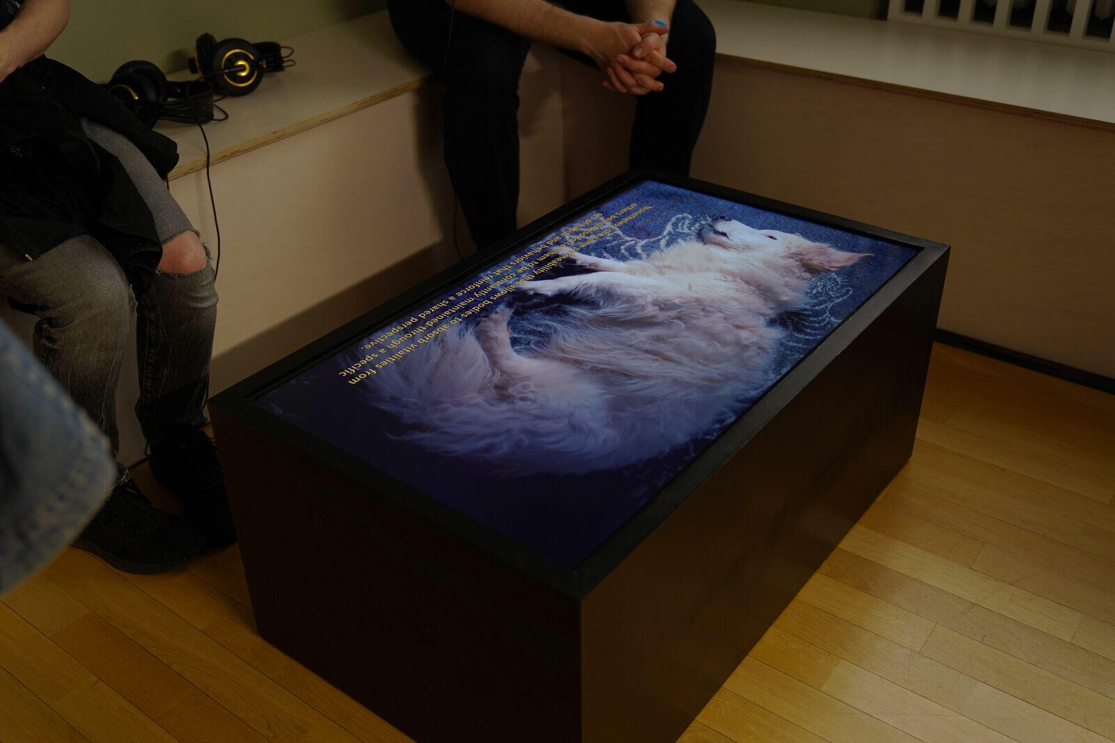 Ins Offene! Multispezies Erzählungen, Ausstellung, Kunstausstellung, Leverkusen, Museum Morsbroich, KHM Köln - Kunsthochschule für Medien Köln, Miguel Maran, as oneiric ecologies, Installationsansicht