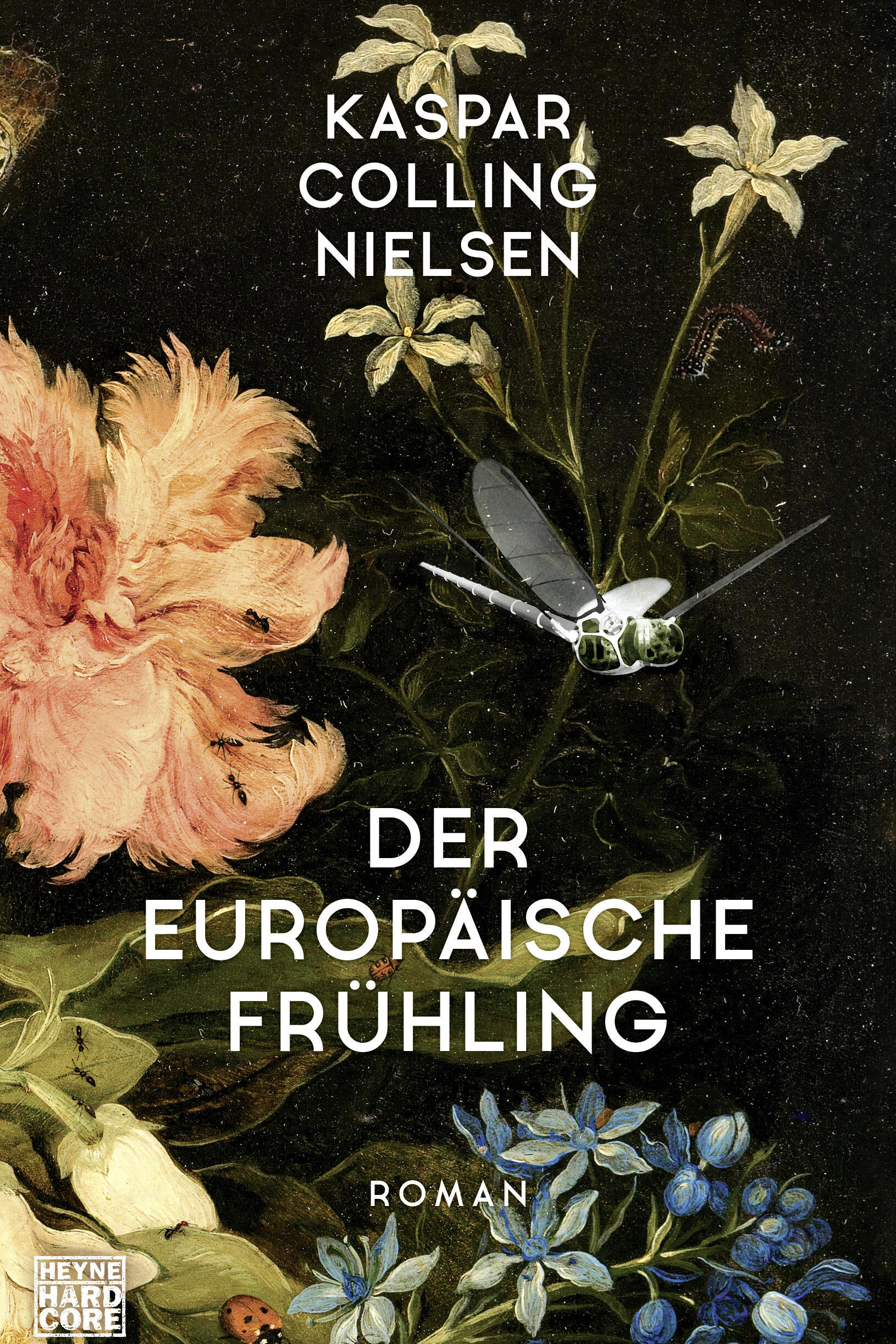 der europaeische fruehling, kaspar colling nielsen, roman, belletristik, literatur