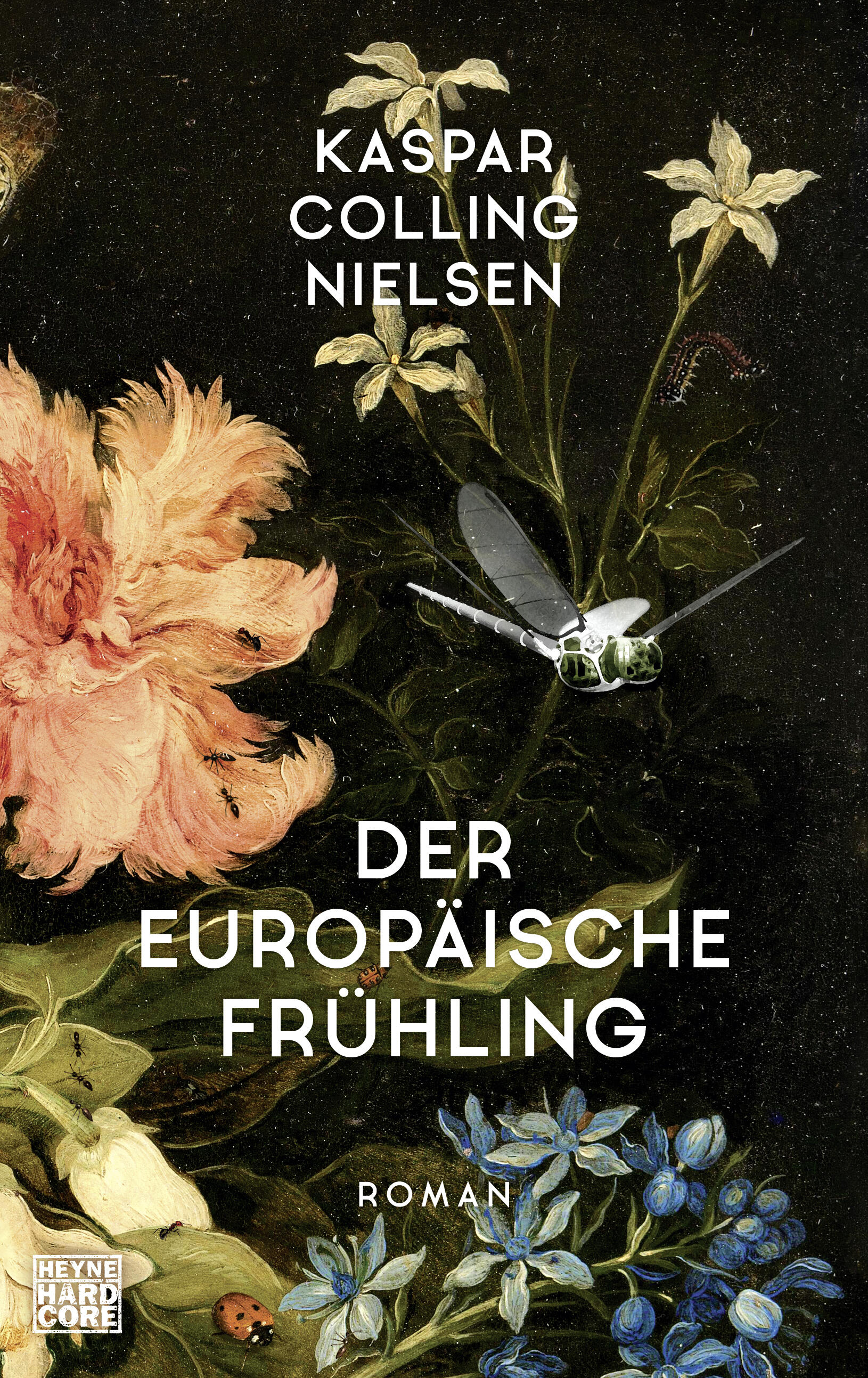 der europaeische fruehling, kaspar colling nielsen, roman, belletristik, literatur