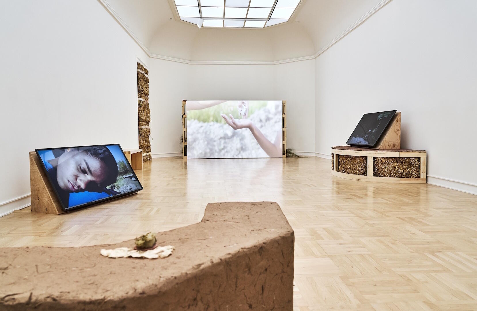 Eve Tagny, Ausstellung, Münster, Kunstausstellung, Westfälischer Kunstverein, The Carries