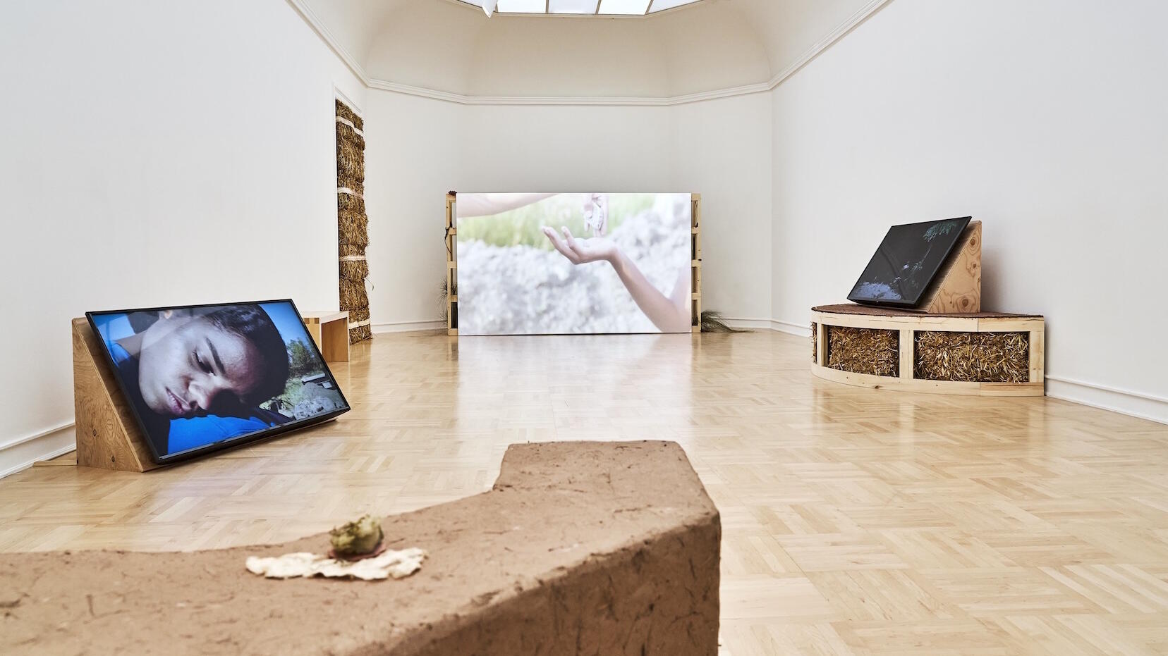 Eve Tagny, Ausstellung, Münster, Kunstausstellung, Westfälischer Kunstverein, The Carries