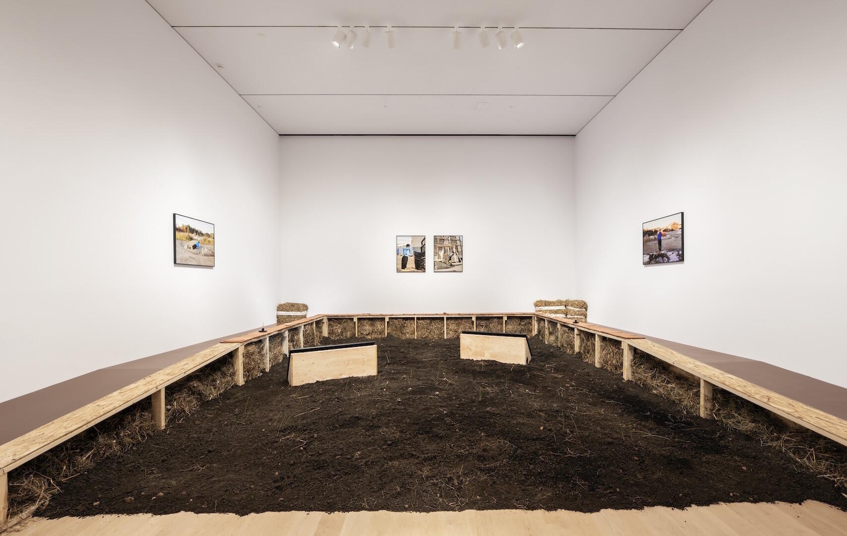 Eve Tagny, Ausstellung, Münster, Kunstausstellung, Westfälischer Kunstverein, Unadorned Landscapes