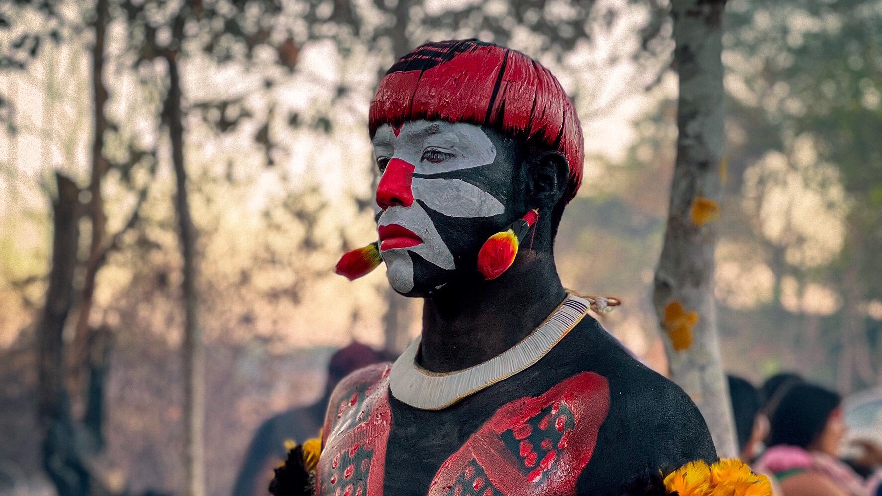 Amazônia, Ausstellung, Kunstausstellung, Bonn, Bundeskunsthalle, Iano Mac Yawalapiti