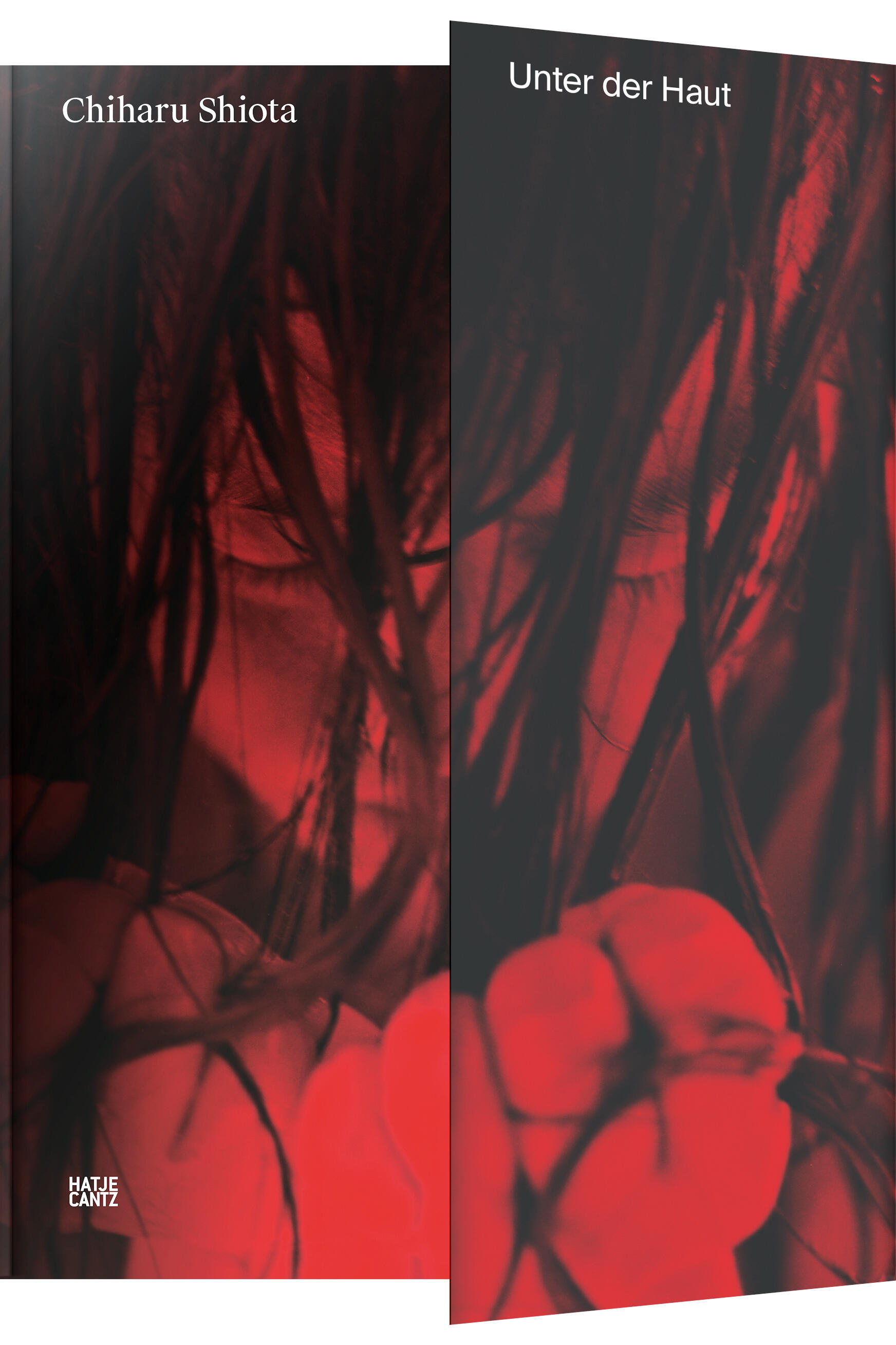 chiharu shiota unter der haut, kunsthalle rostock, tereza de arruda, pascal hess, olaf reis, hermann huelsenberg studio, kunstbuch bildband fotobuch