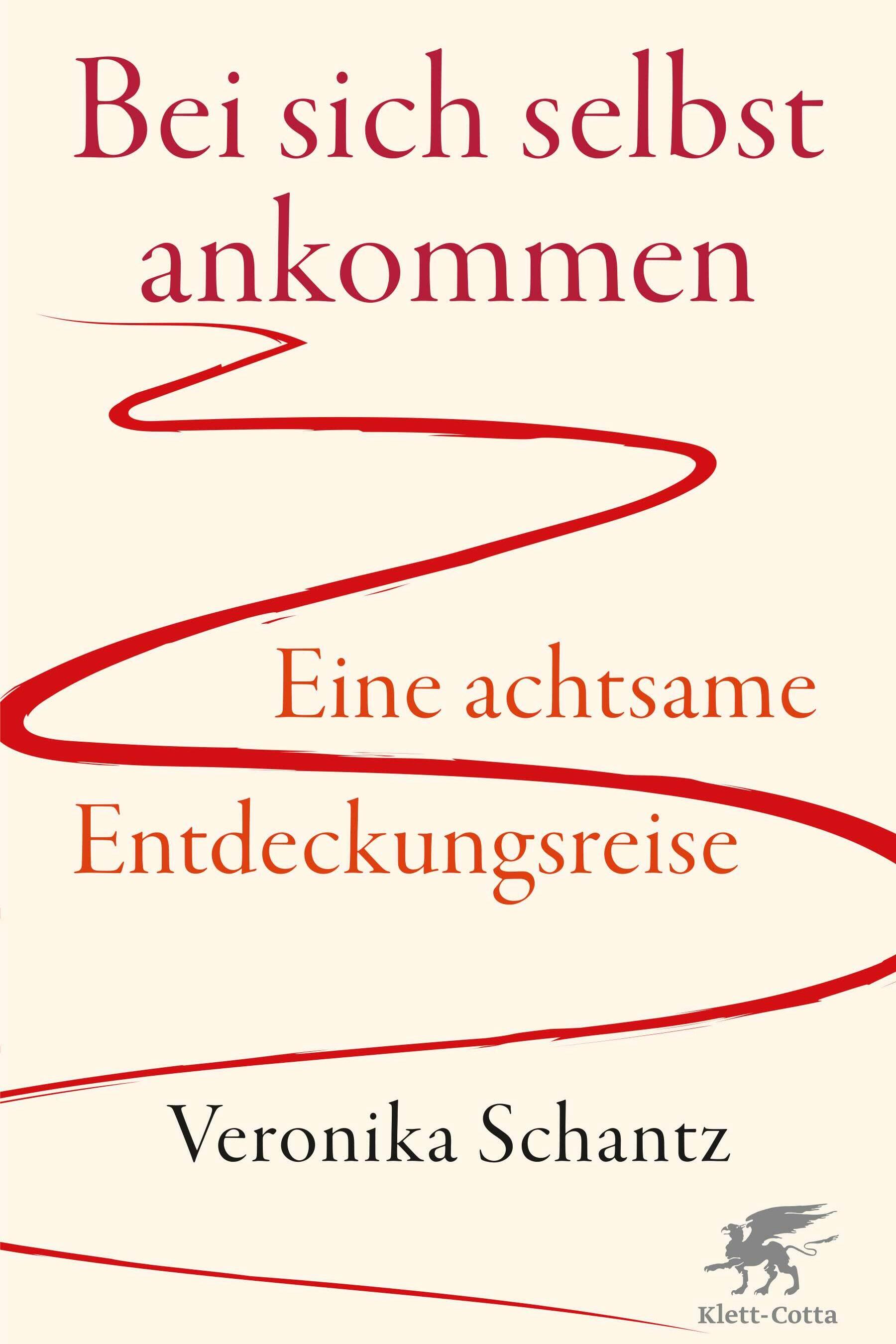 bei sich selbst ankommen veronika schantz gesellschaft gesellschaftsentwicklung soziologie psychologie philosophie