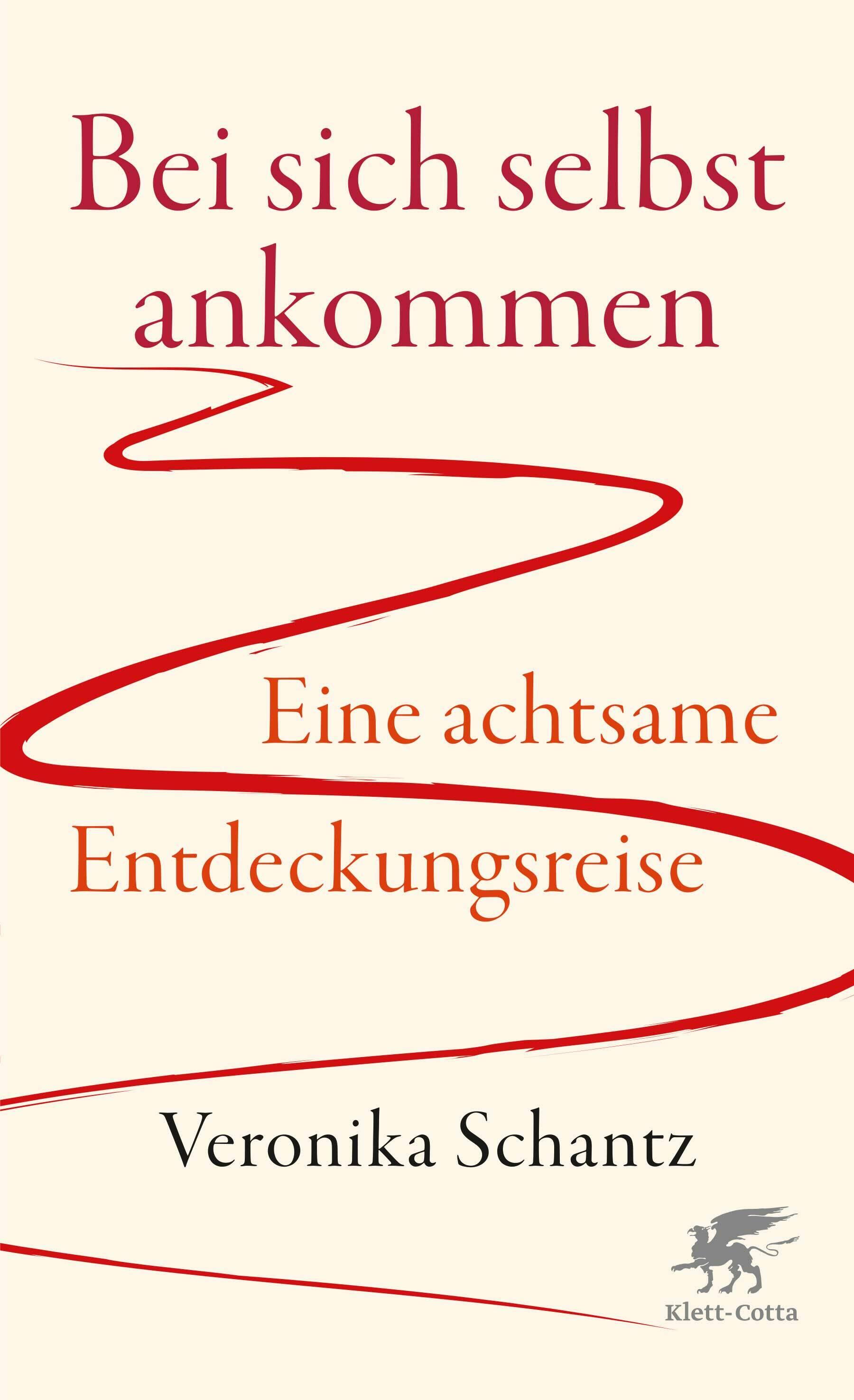 bei sich selbst ankommen veronika schantz gesellschaft gesellschaftsentwicklung soziologie psychologie philosophie