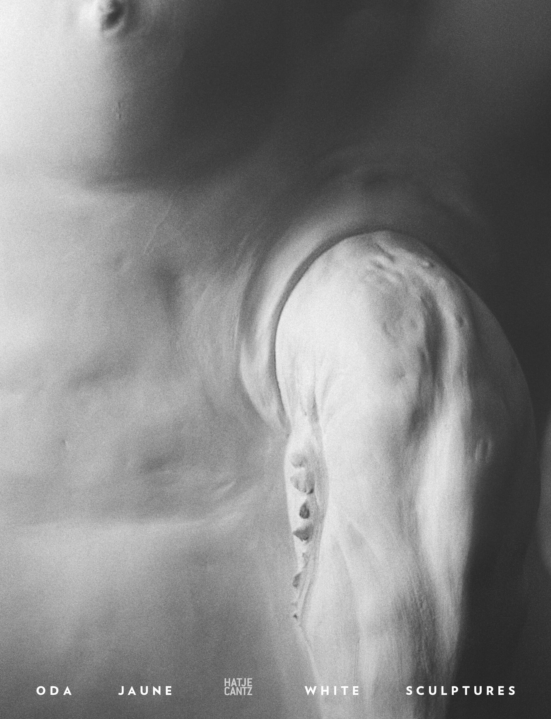 oda jaune white sculptures, olivier kaeppelin, kunstbuch bildband fotobuch