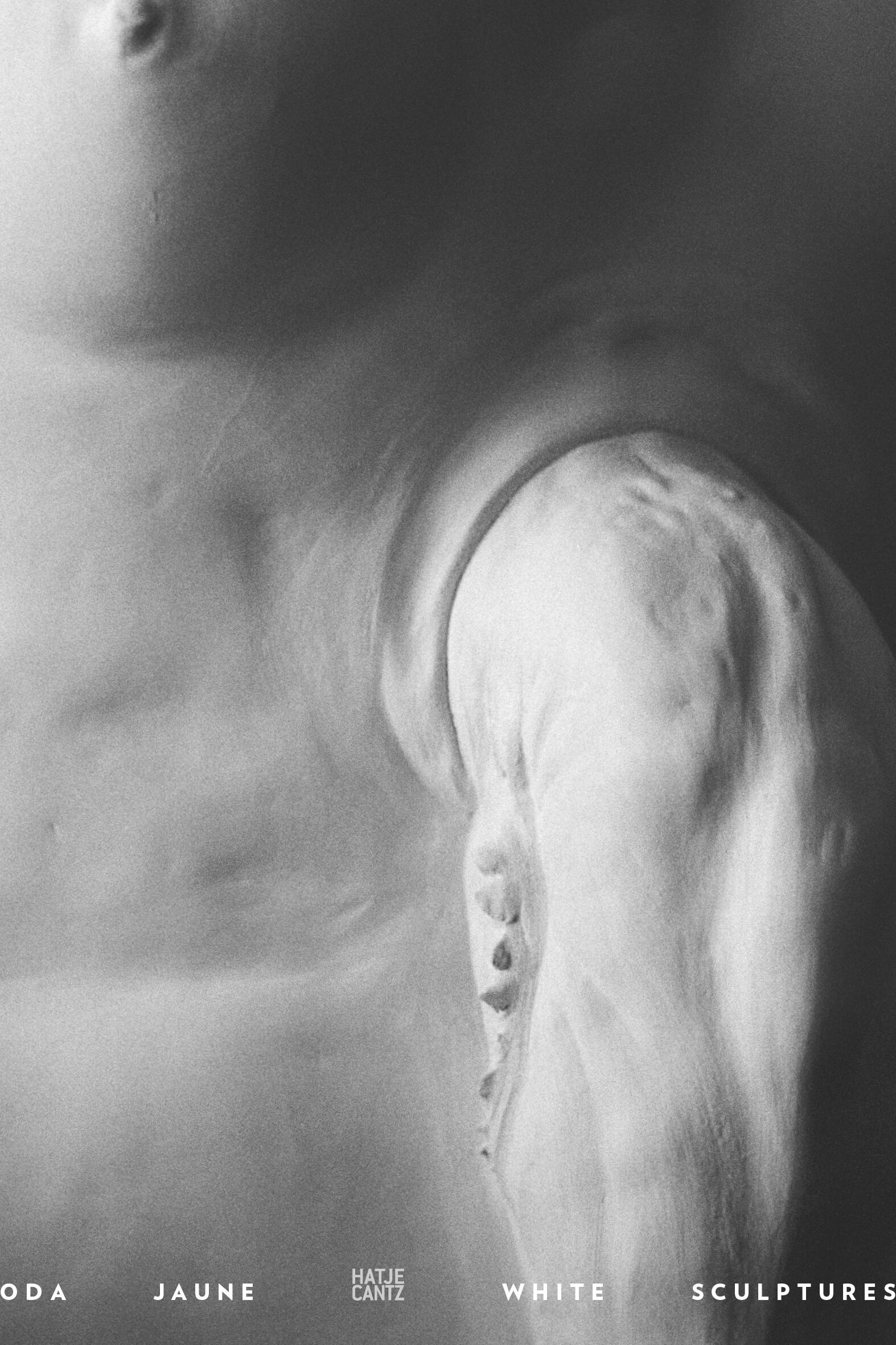 oda jaune white sculptures, olivier kaeppelin, kunstbuch bildband fotobuch