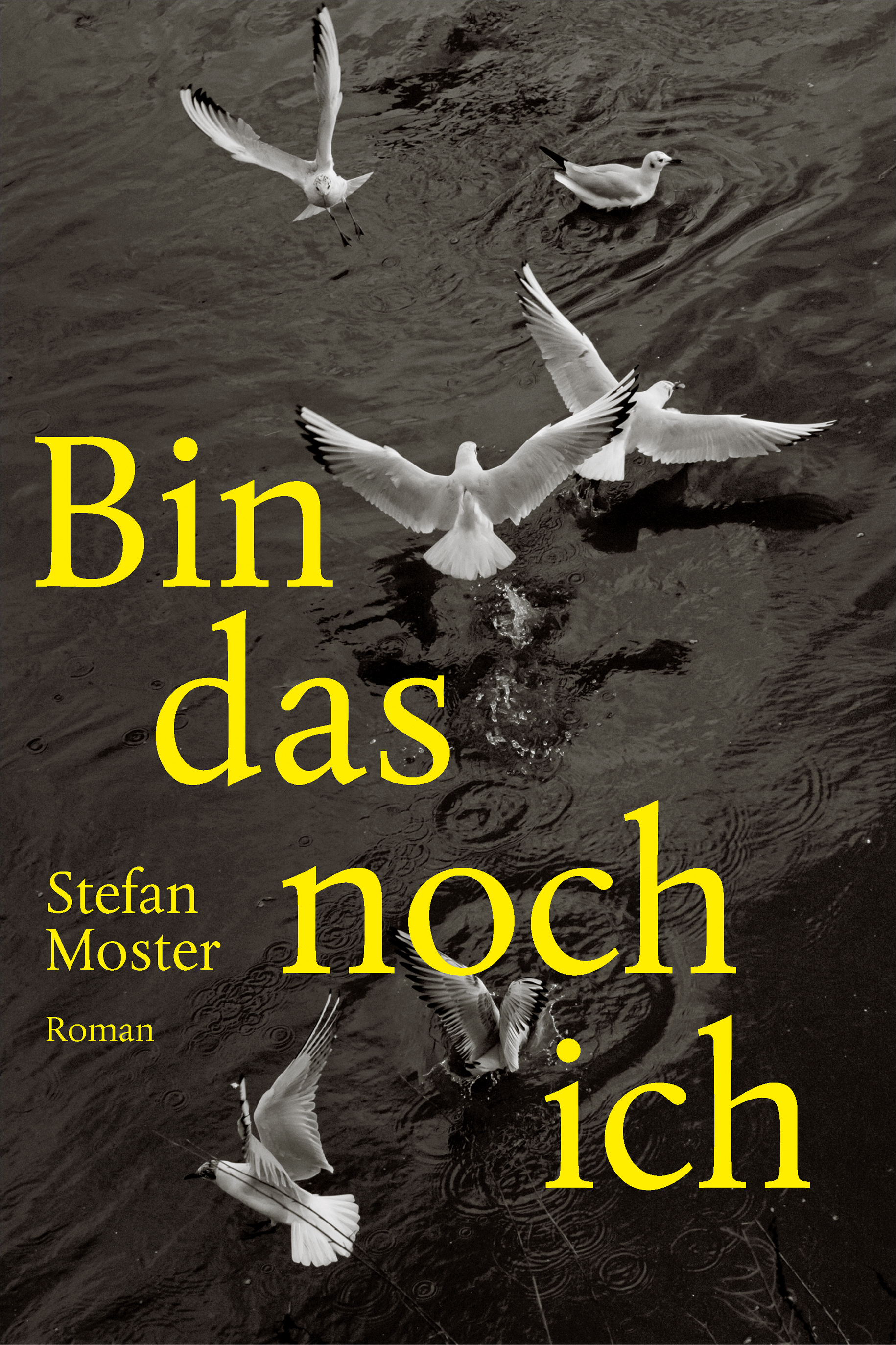 Bin das noch ich, Stefan Moster, Roman, Literatur, mare Verlag