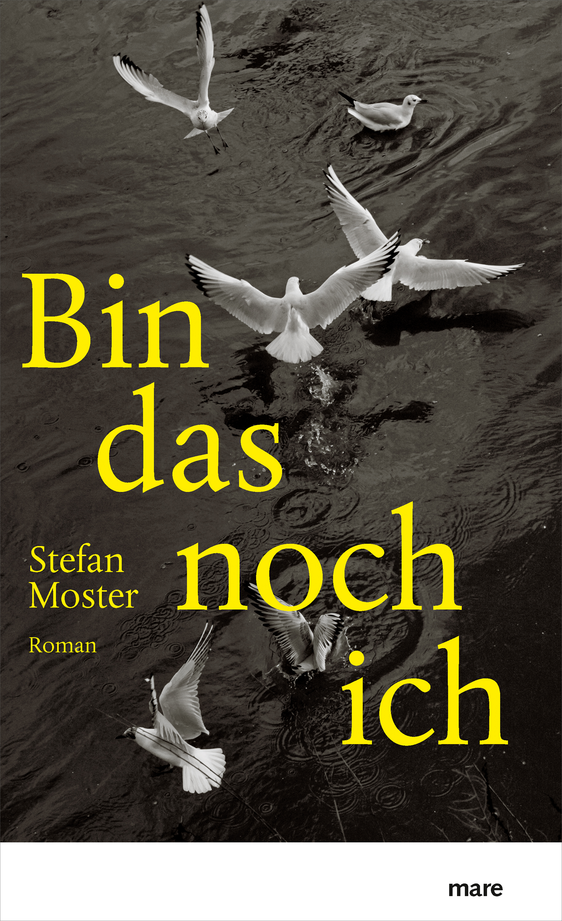 Bin das noch ich, Stefan Moster, Roman, Literatur, mare Verlag