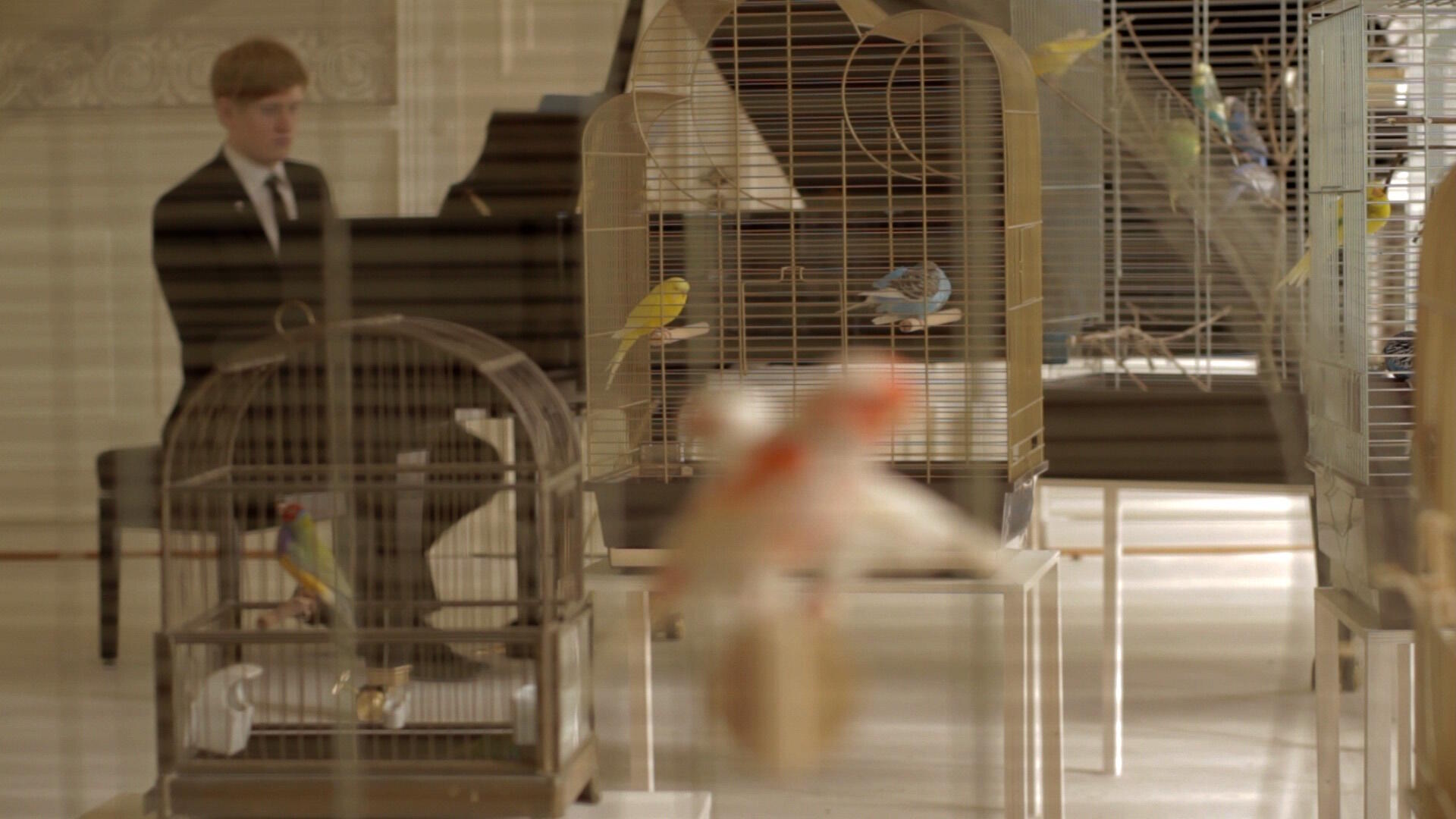 Für die Vögel, Ausstellung, Kunstausstellung, Siegen, MGK Siegen, Annika Kahrs, Playing to the Birds, Filmstill, Produzentengalerie Hamburg