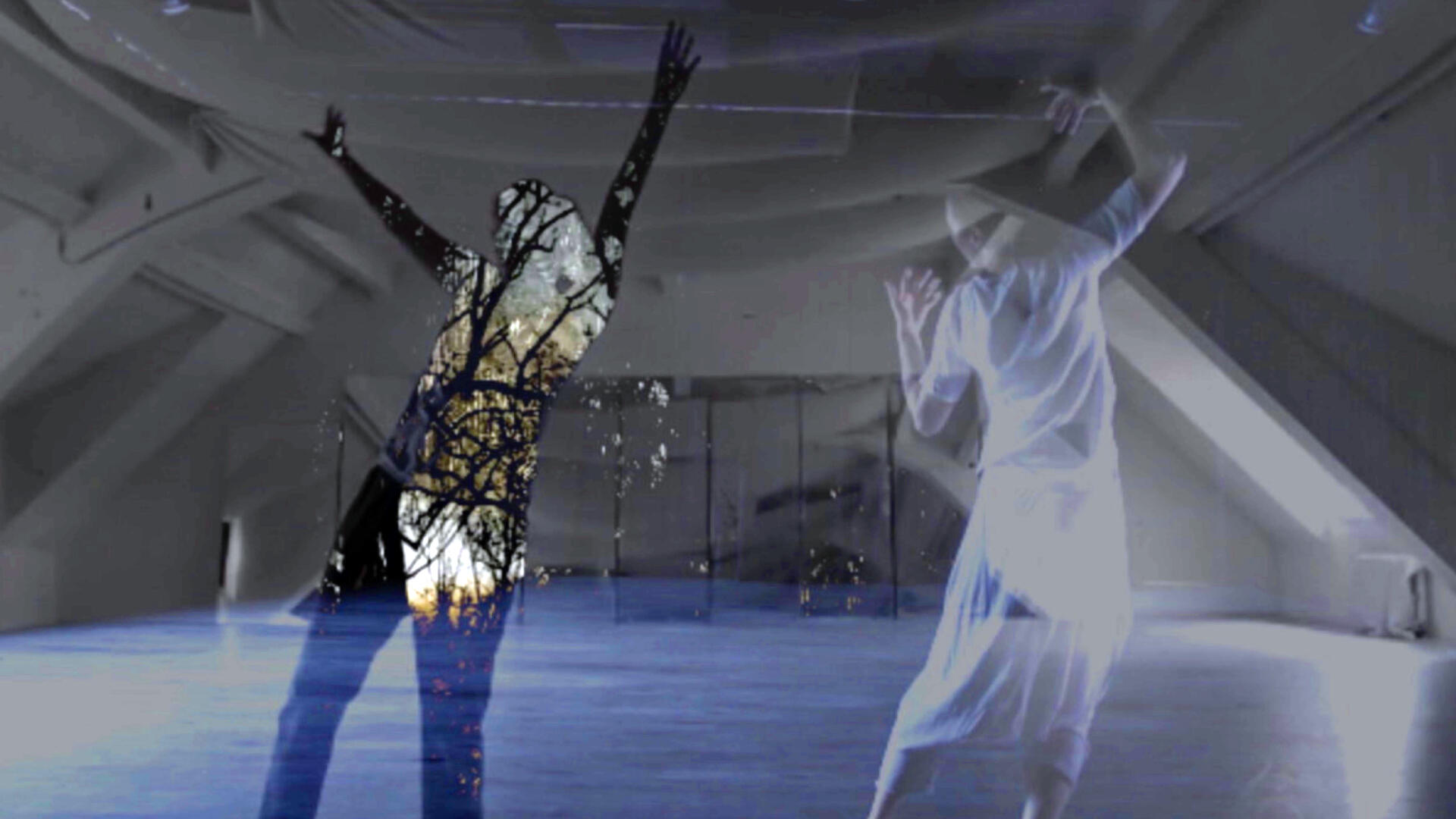 Mycelial Threads: Eine grenzüberschreitende Symbiose, Tanzperformance, Tanz, Köln, Studio 11, Diphtong